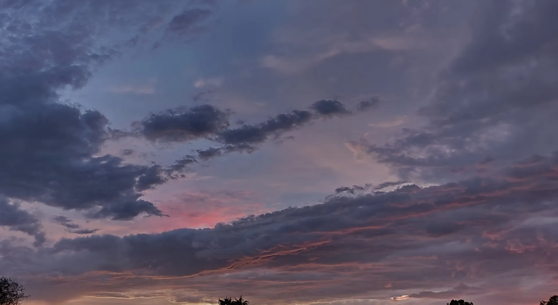 Onlybuns OnlyFans header