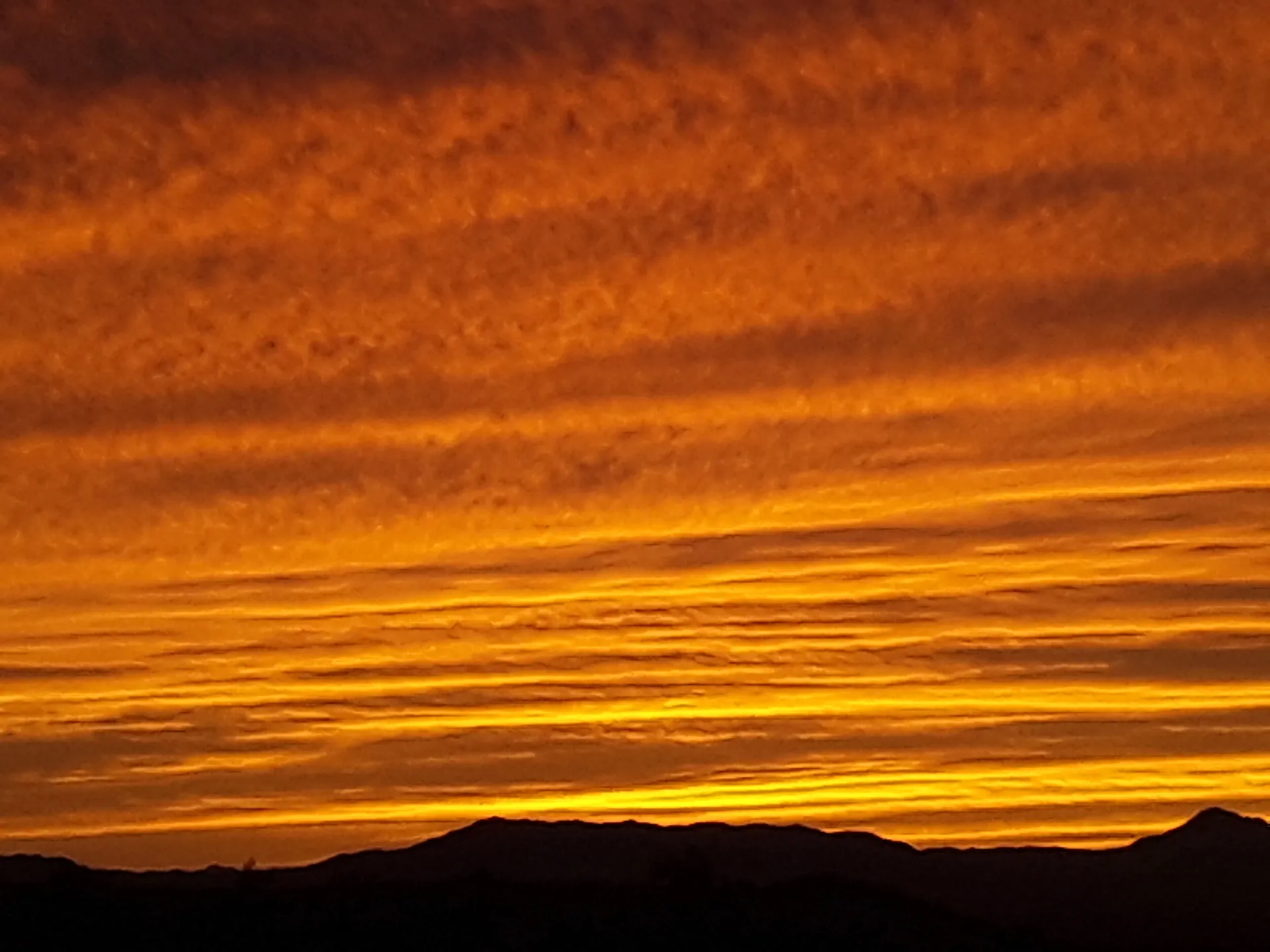 Onlycameltoes OnlyFans header