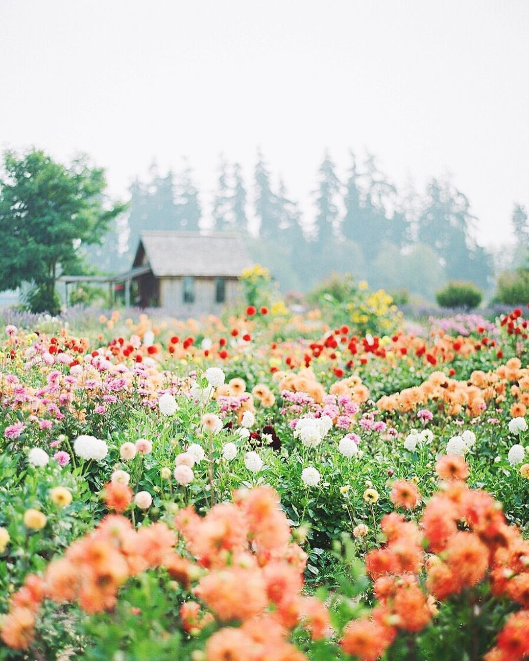 Cheyanne OnlyFans header