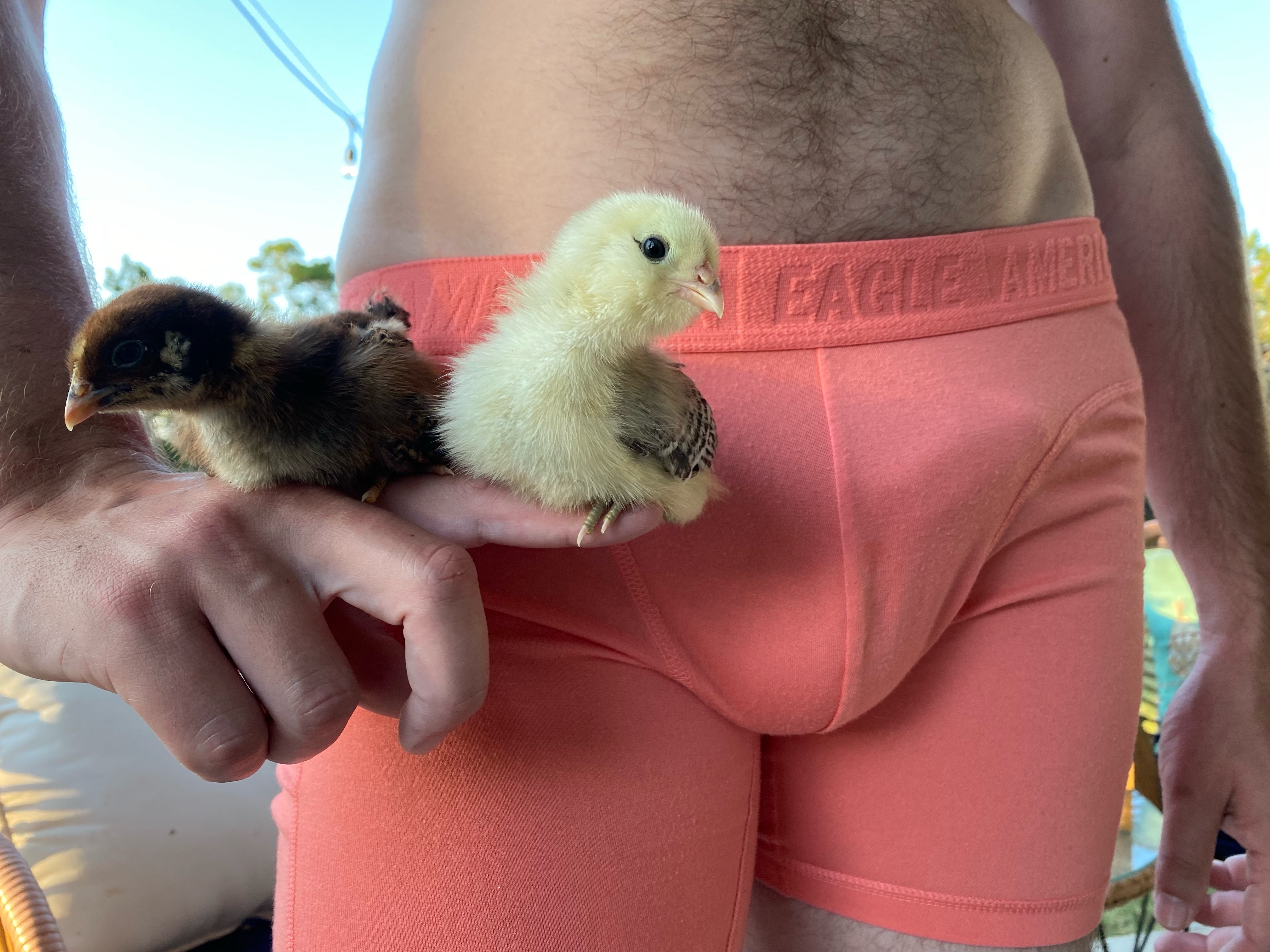 Only Chicken Fans OnlyFans