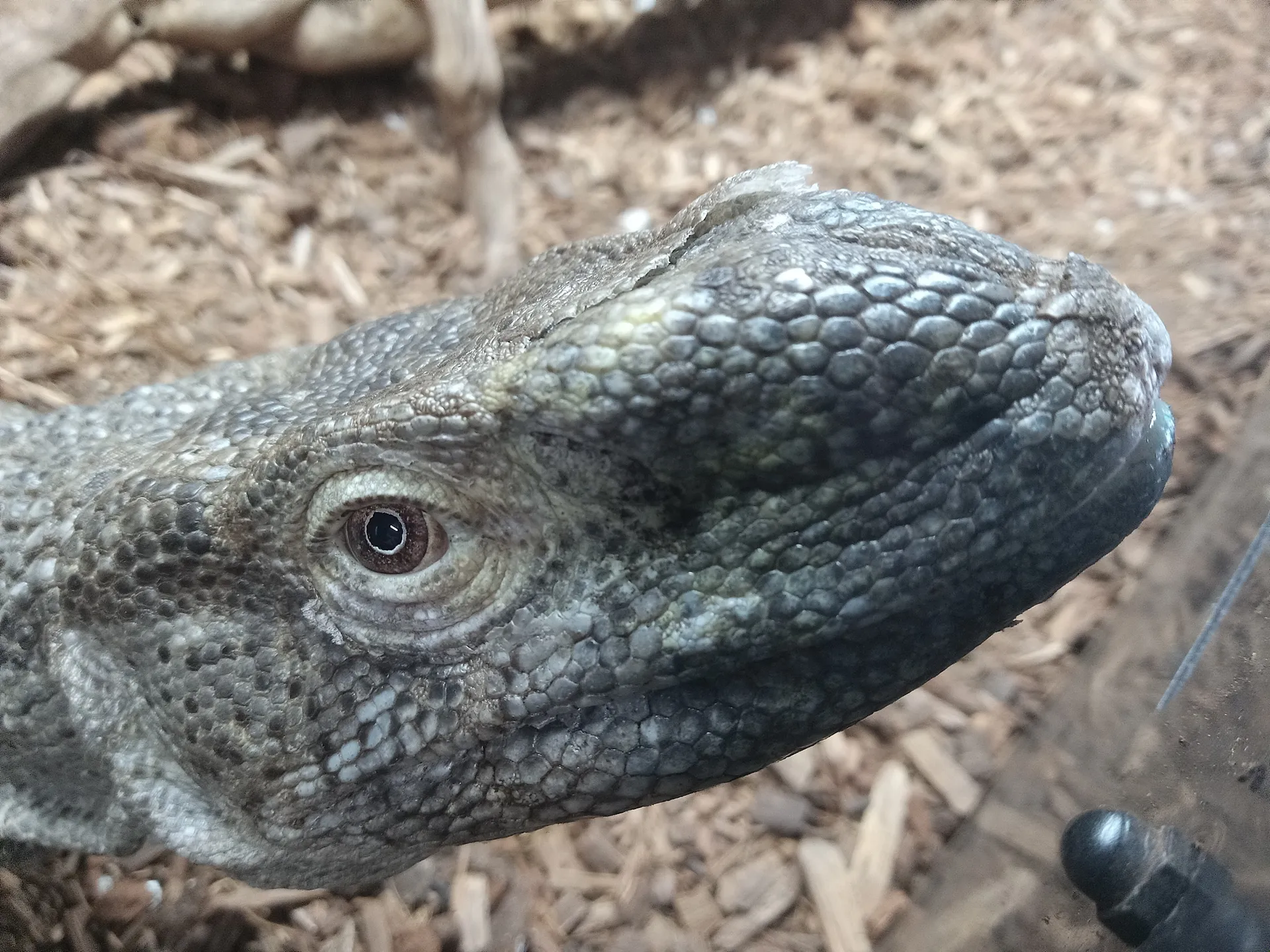 ONLYCLAWS OnlyFans header