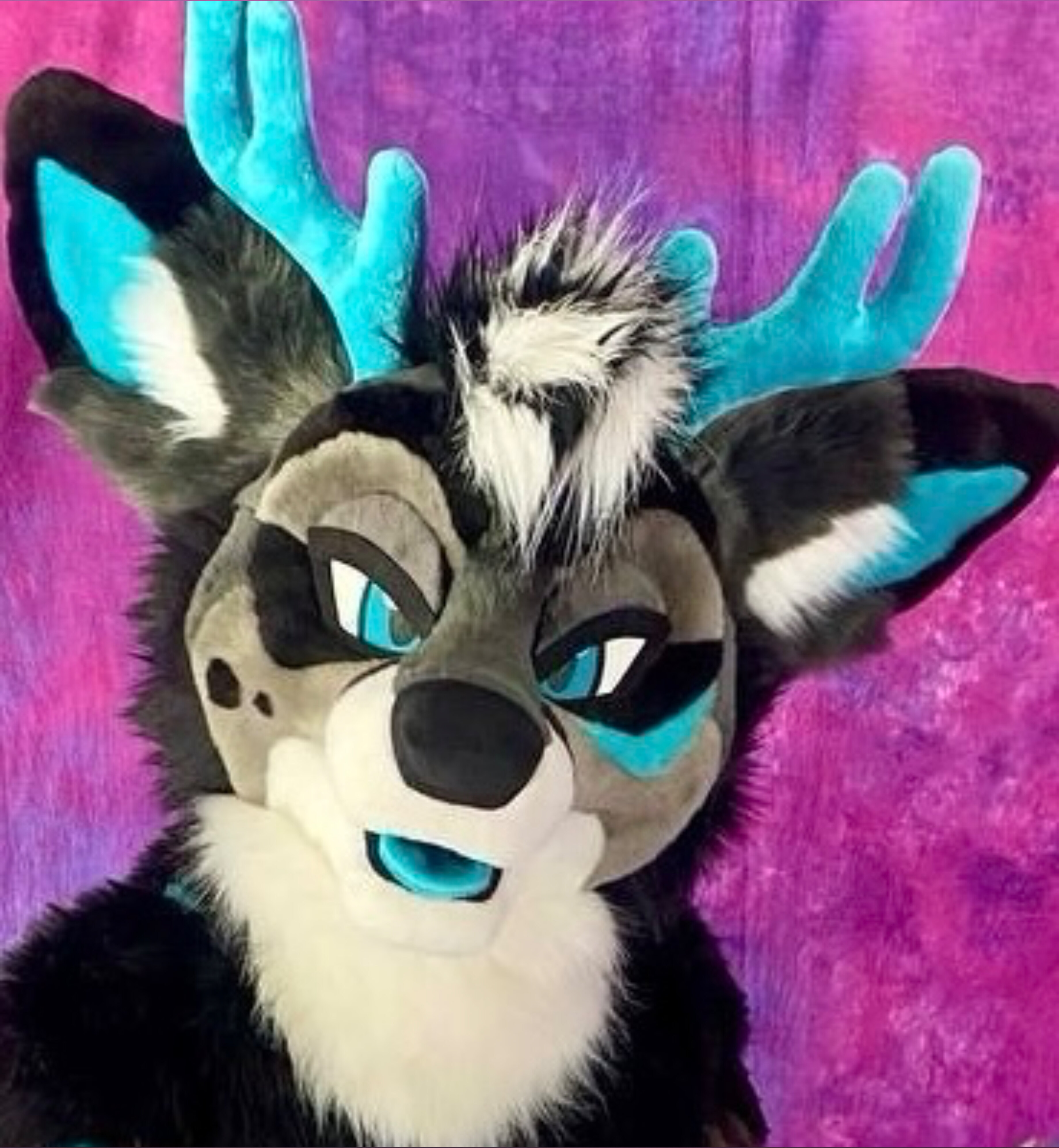 Judge/Corvo OnlyFans