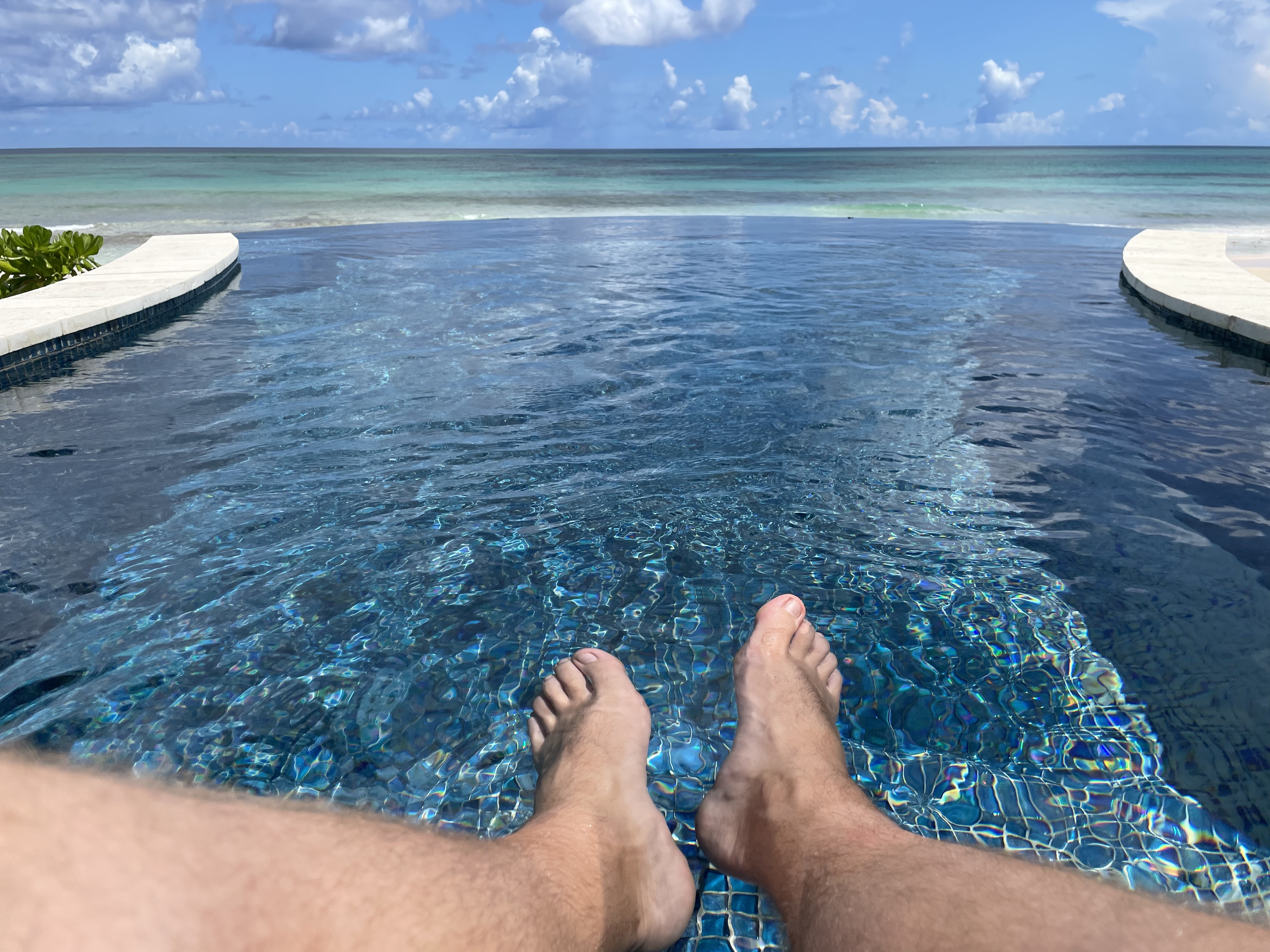 OnlyFeet OnlyFans header