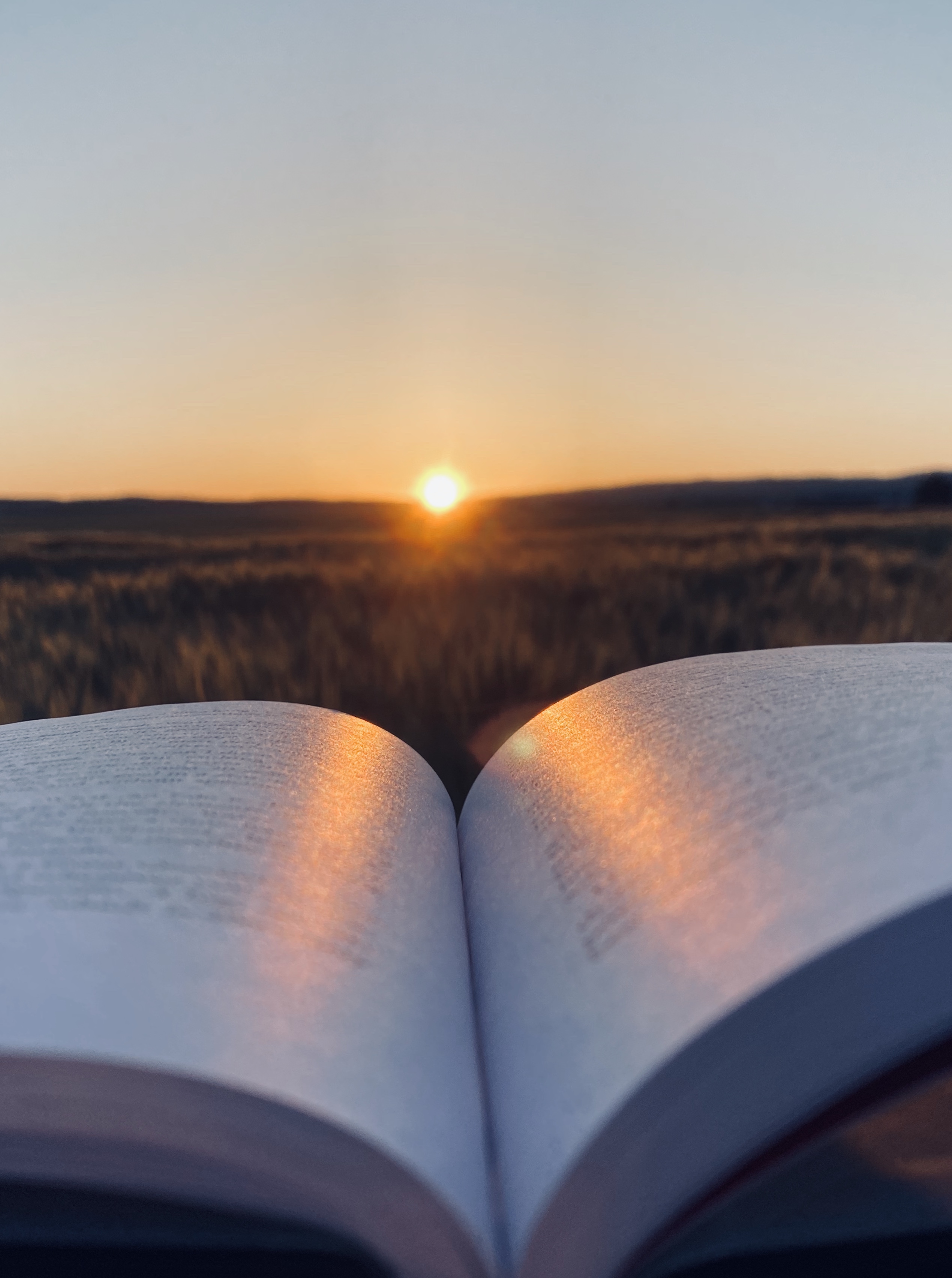 Dreams OnlyFans header