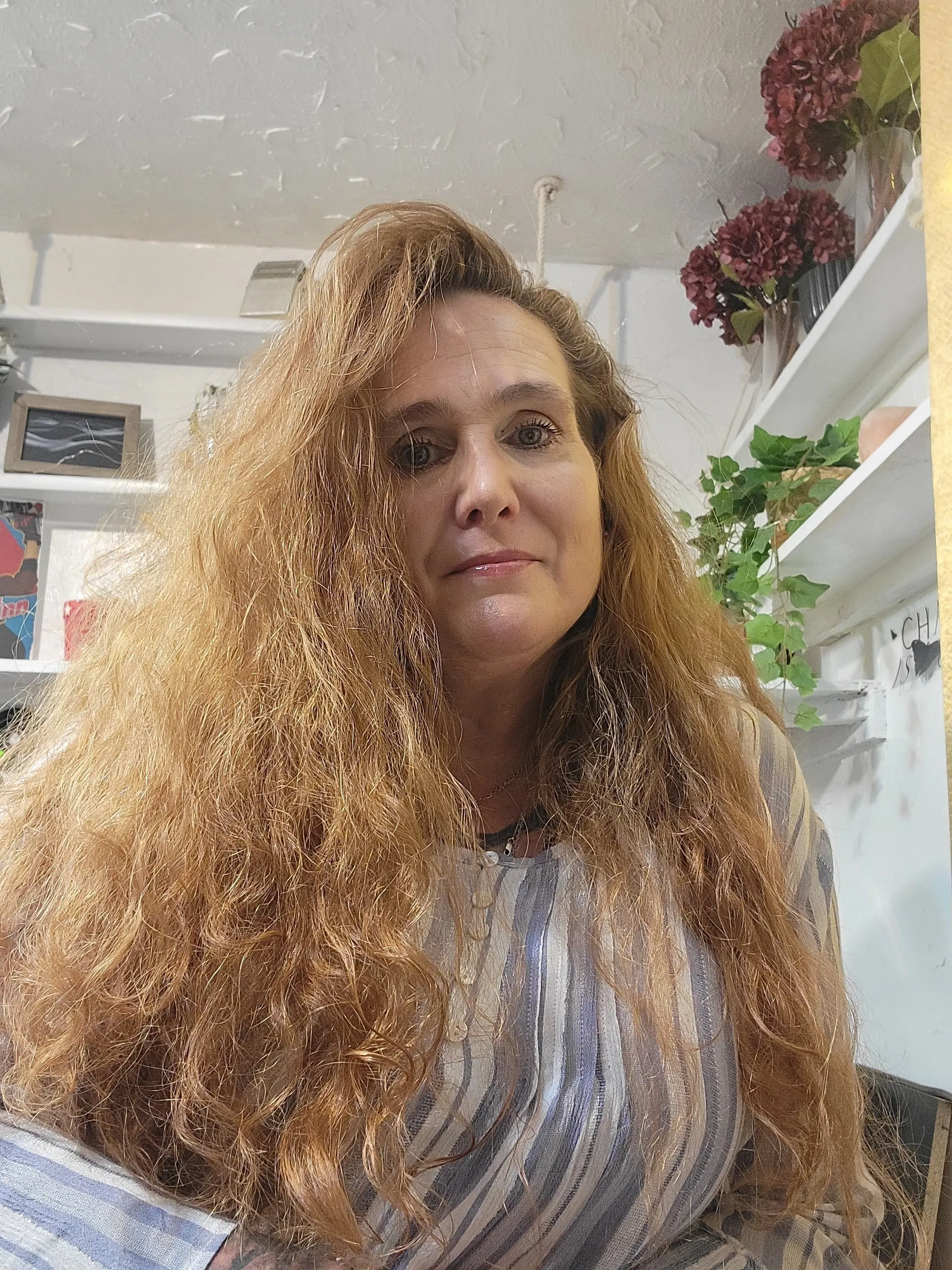 OnlyFannies LLC OnlyFans header