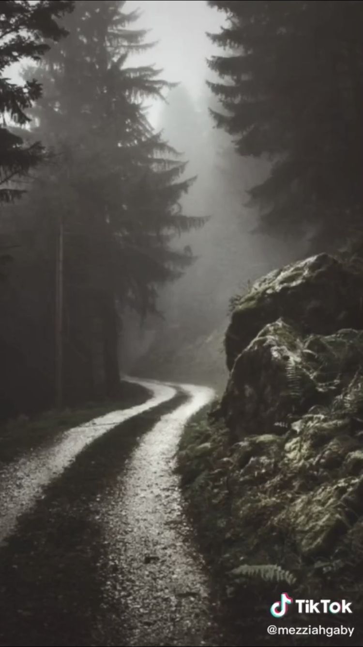 Miranda Cosgrove OnlyFans header