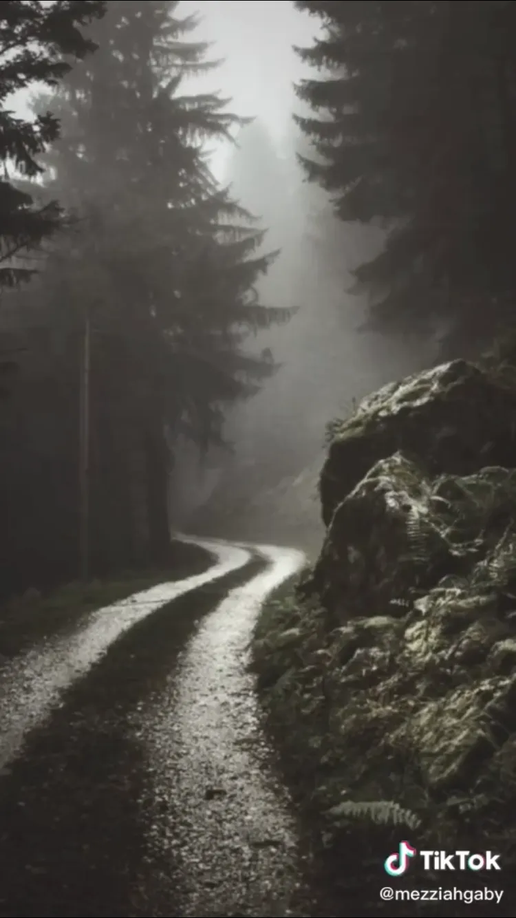 Miranda Cosgrove OnlyFans header