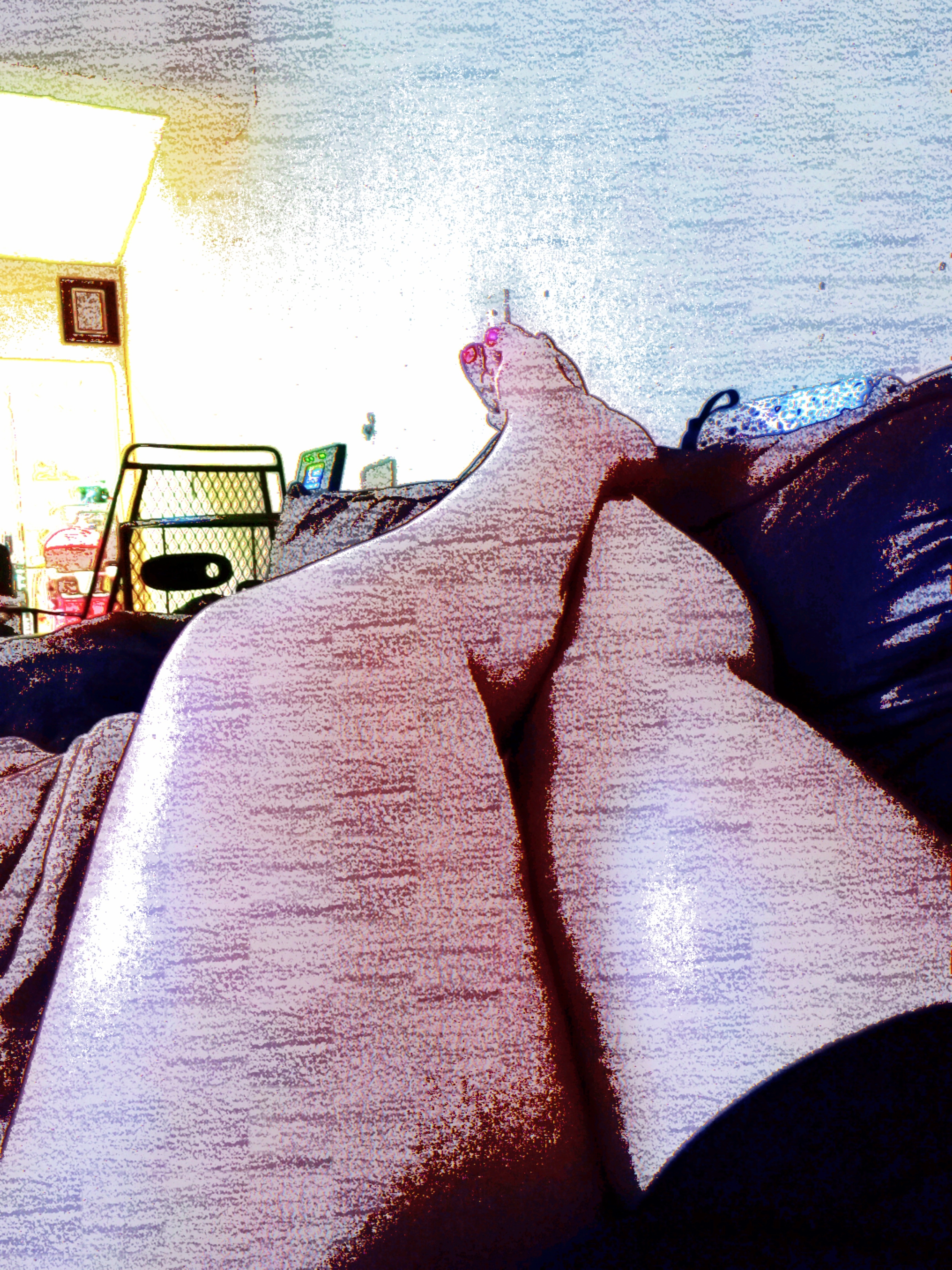 Mermaid OnlyFans header