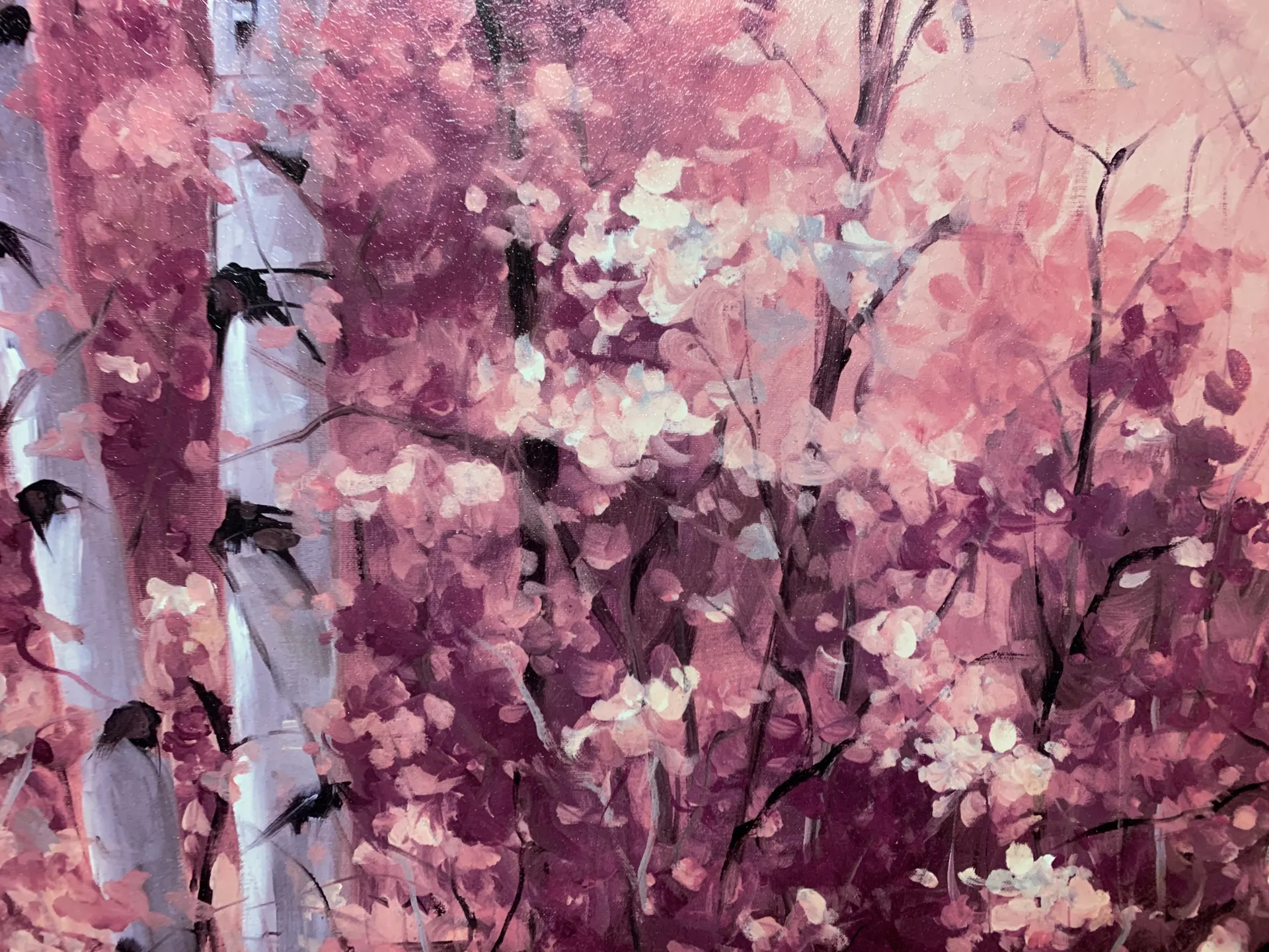 OnlyFax with Shay OnlyFans header