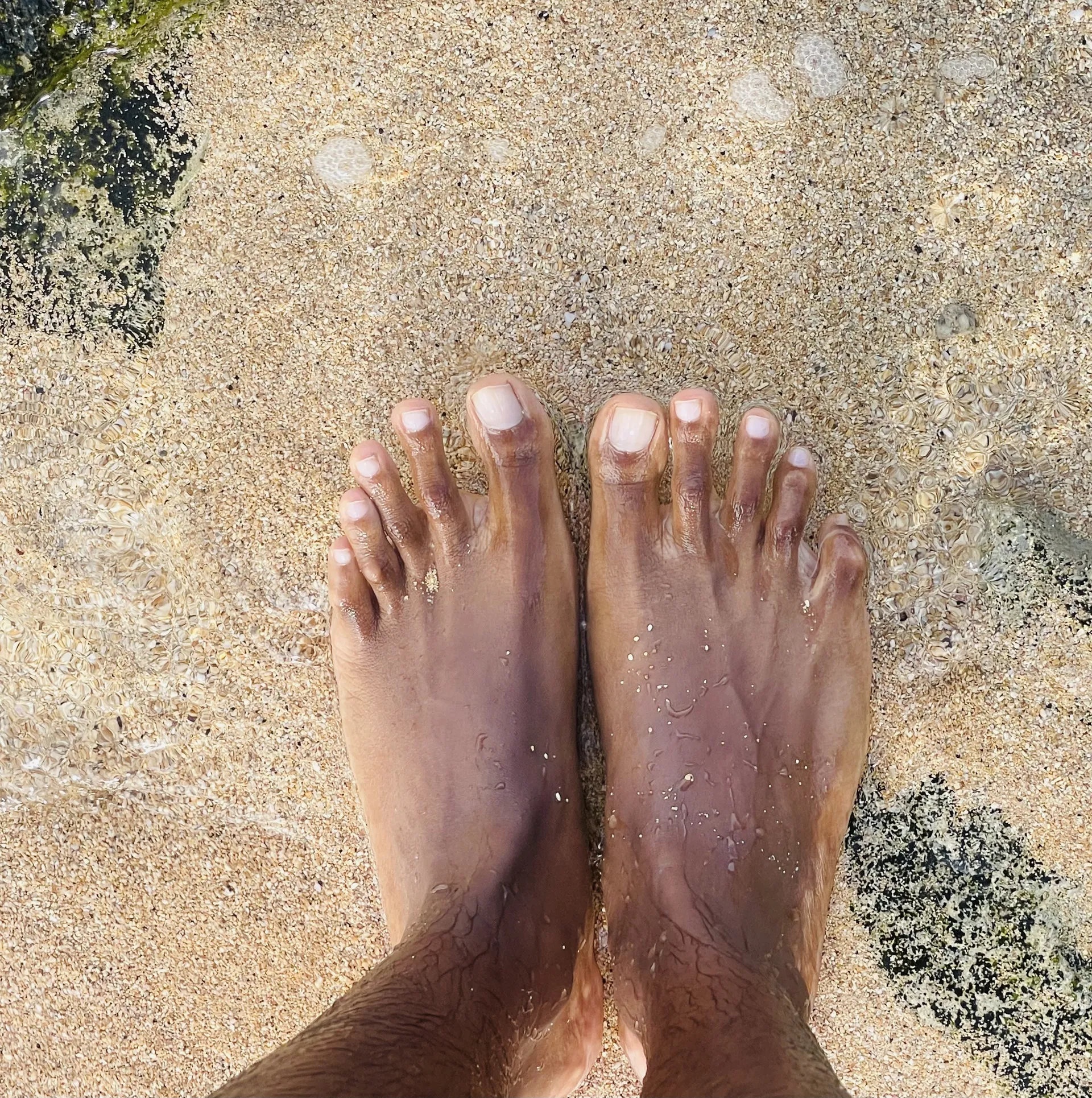 OnlyFeet OnlyFans header