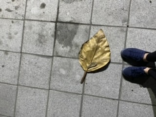 Only feet OnlyFans header