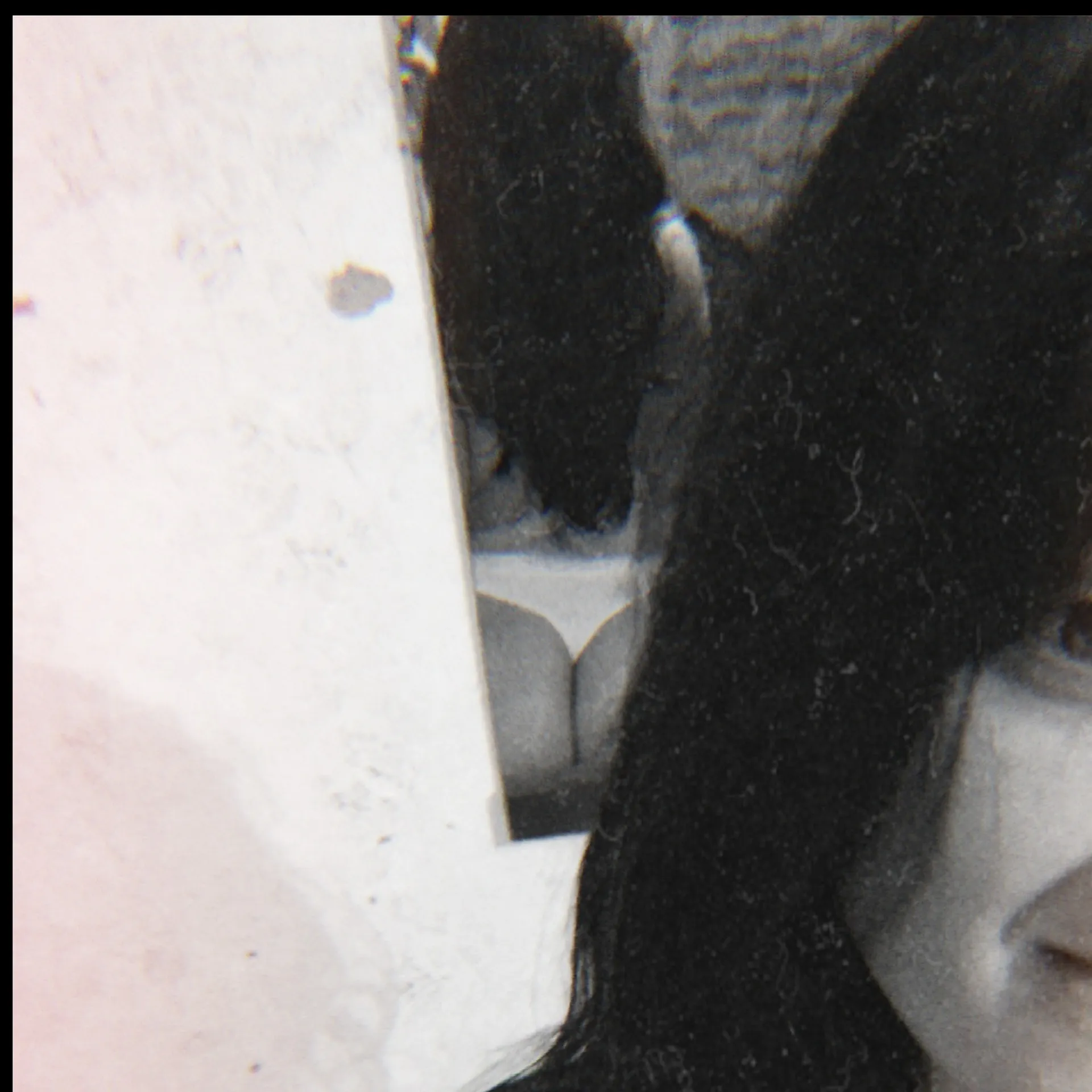 Firegirl OnlyFans header