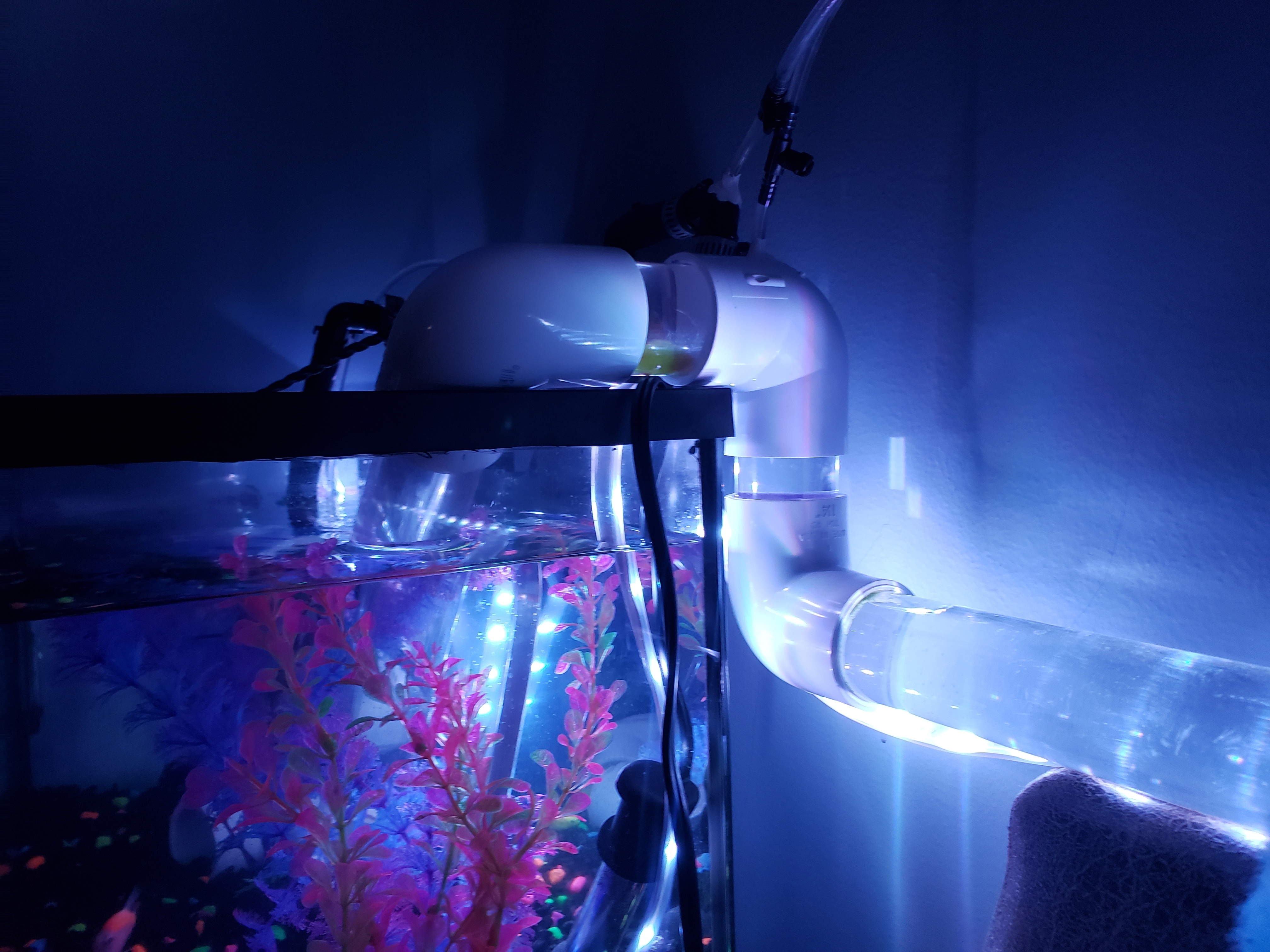 OnlyFishFans OnlyFans header