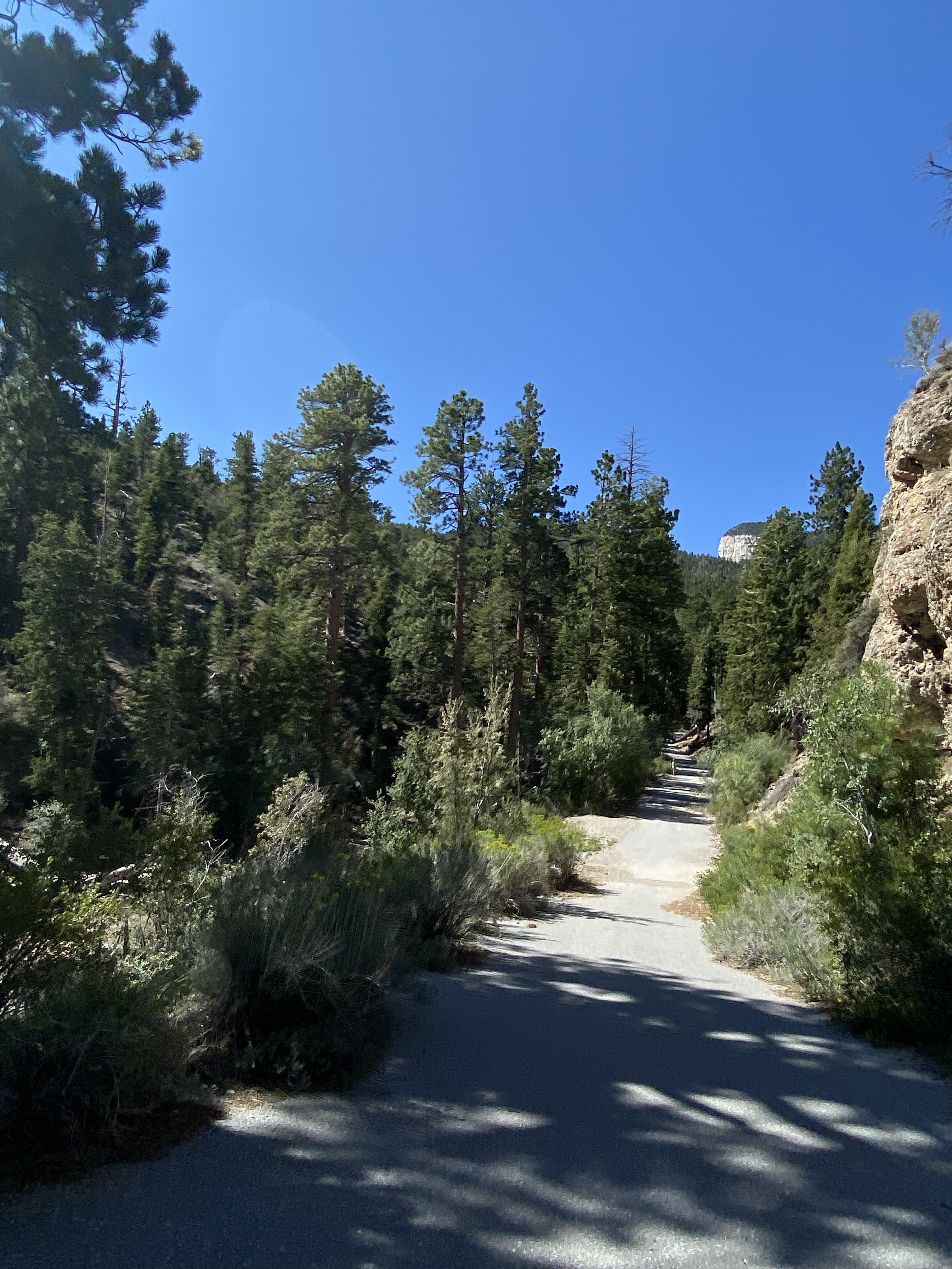 Susana Layna OnlyFans header