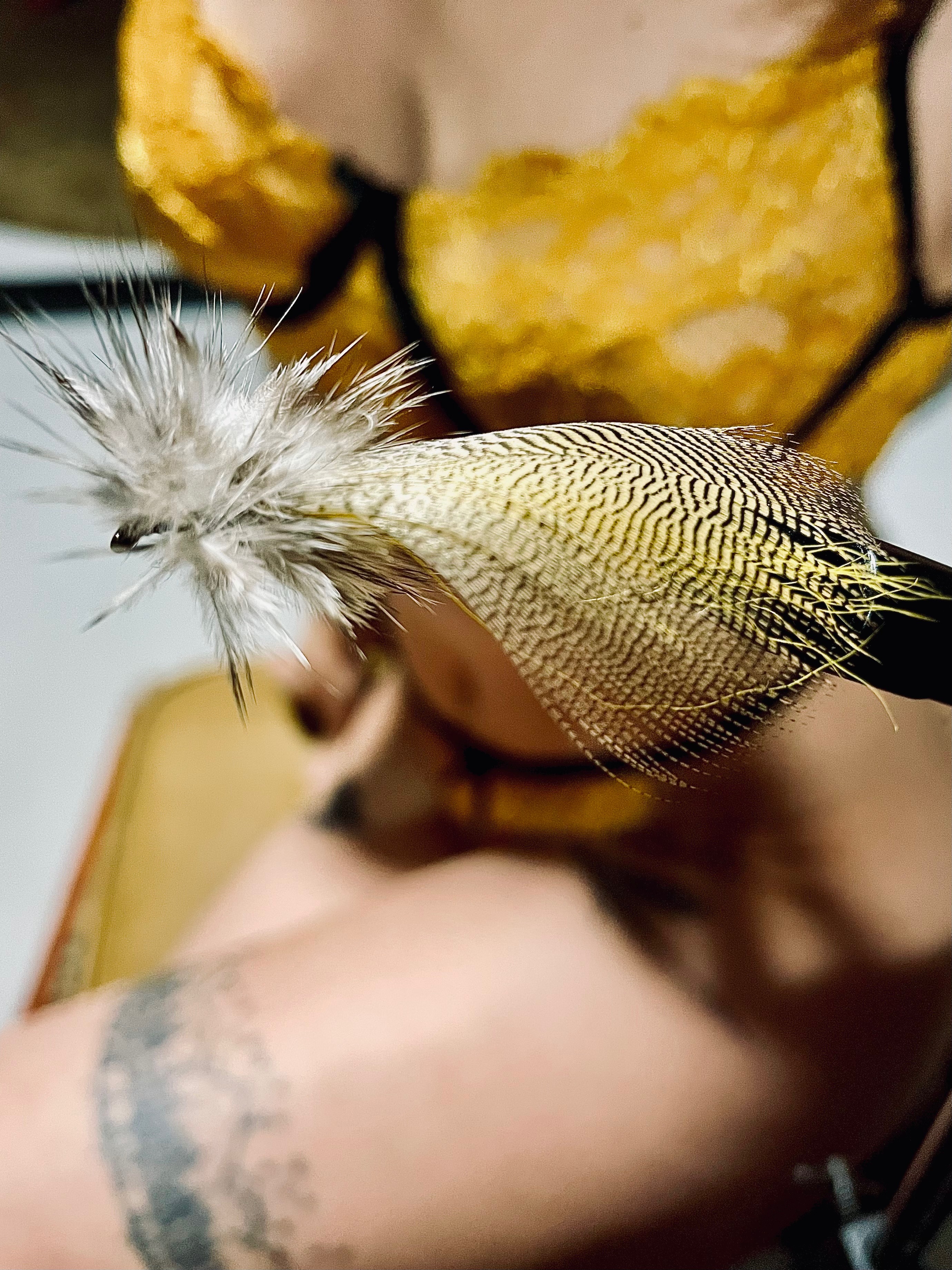 Katana OnlyFans header