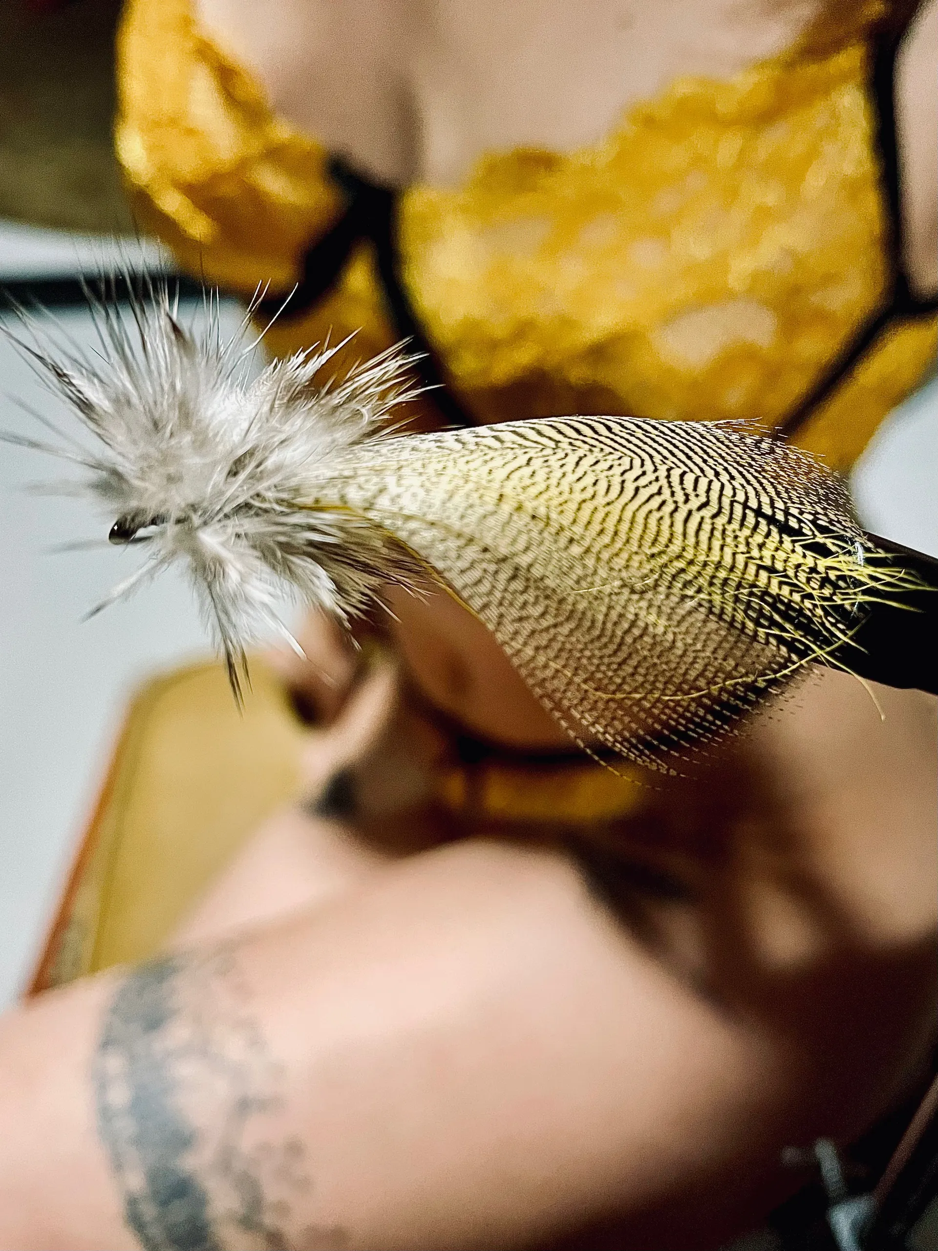 Katana OnlyFans header