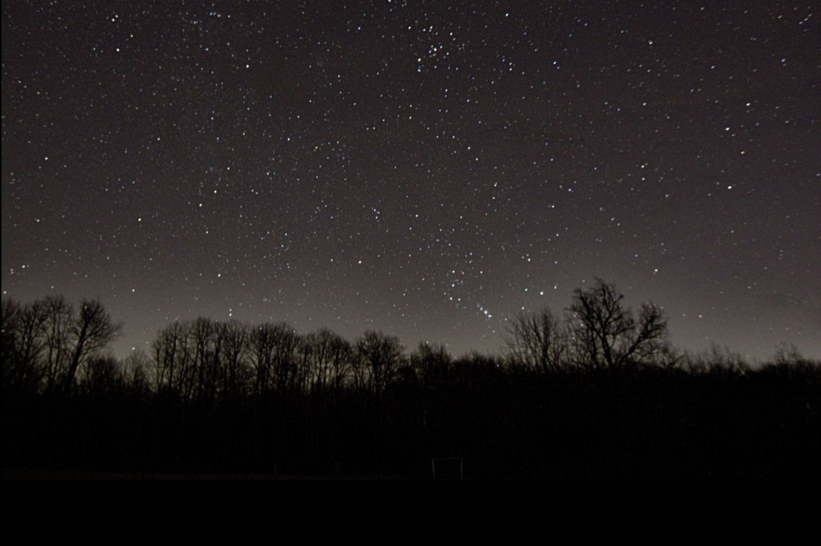 OnlyFlynns OnlyFans header