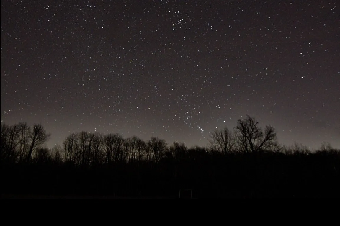 OnlyFlynns OnlyFans header