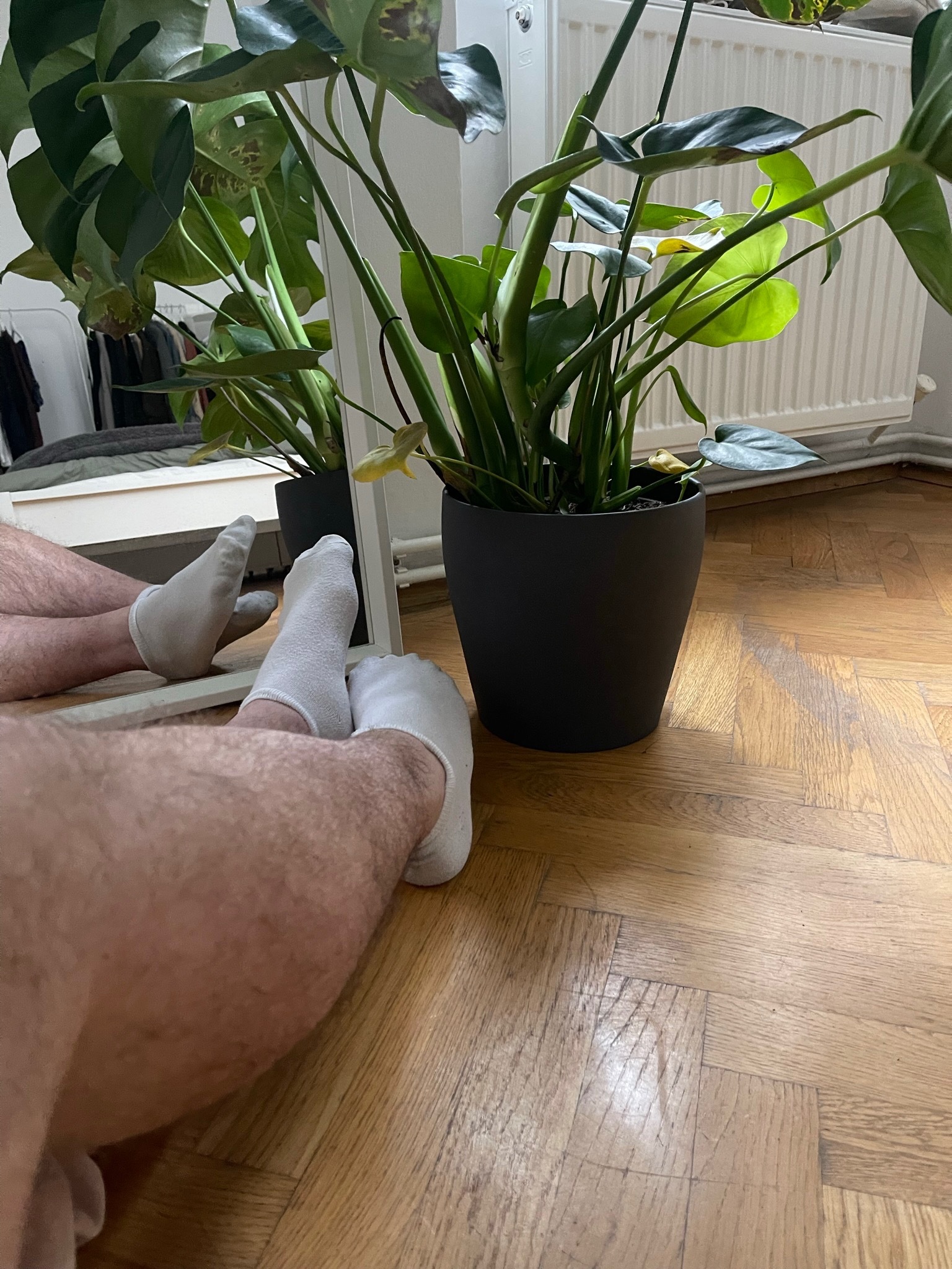 O N L Y F R I E N D S OnlyFans header