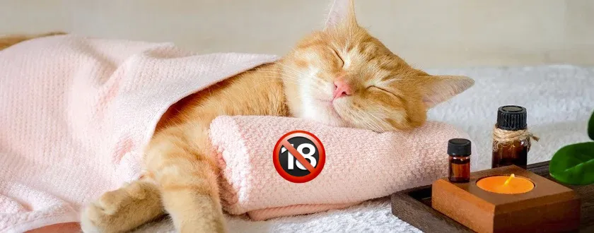 OnlyFunCreators OnlyFans header