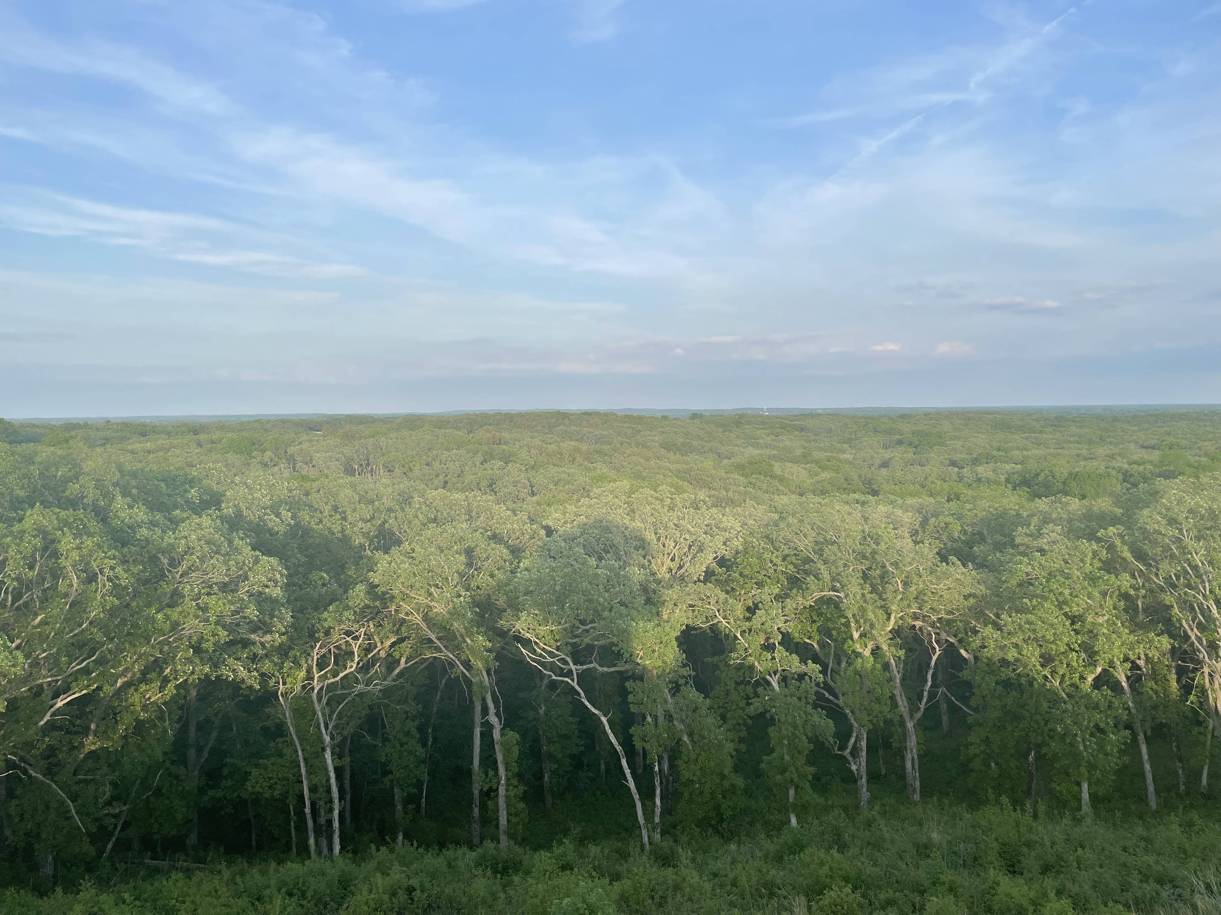 MisterG OnlyFans header