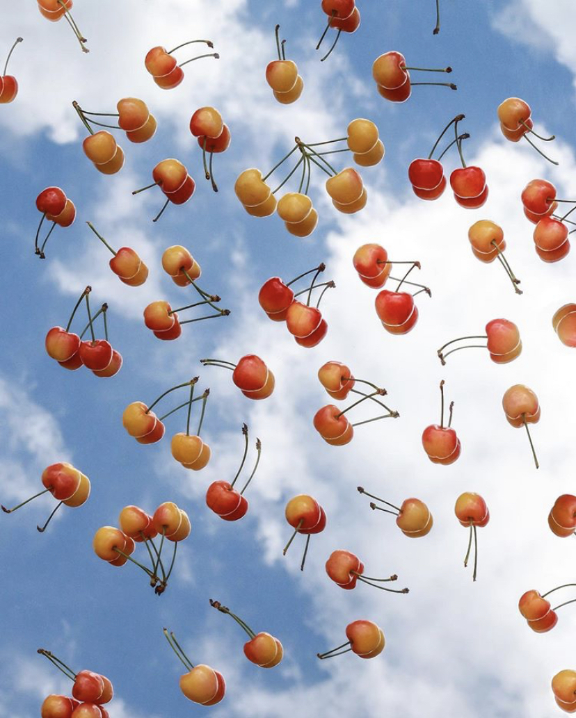 FREE Gemma Jane OnlyFans header