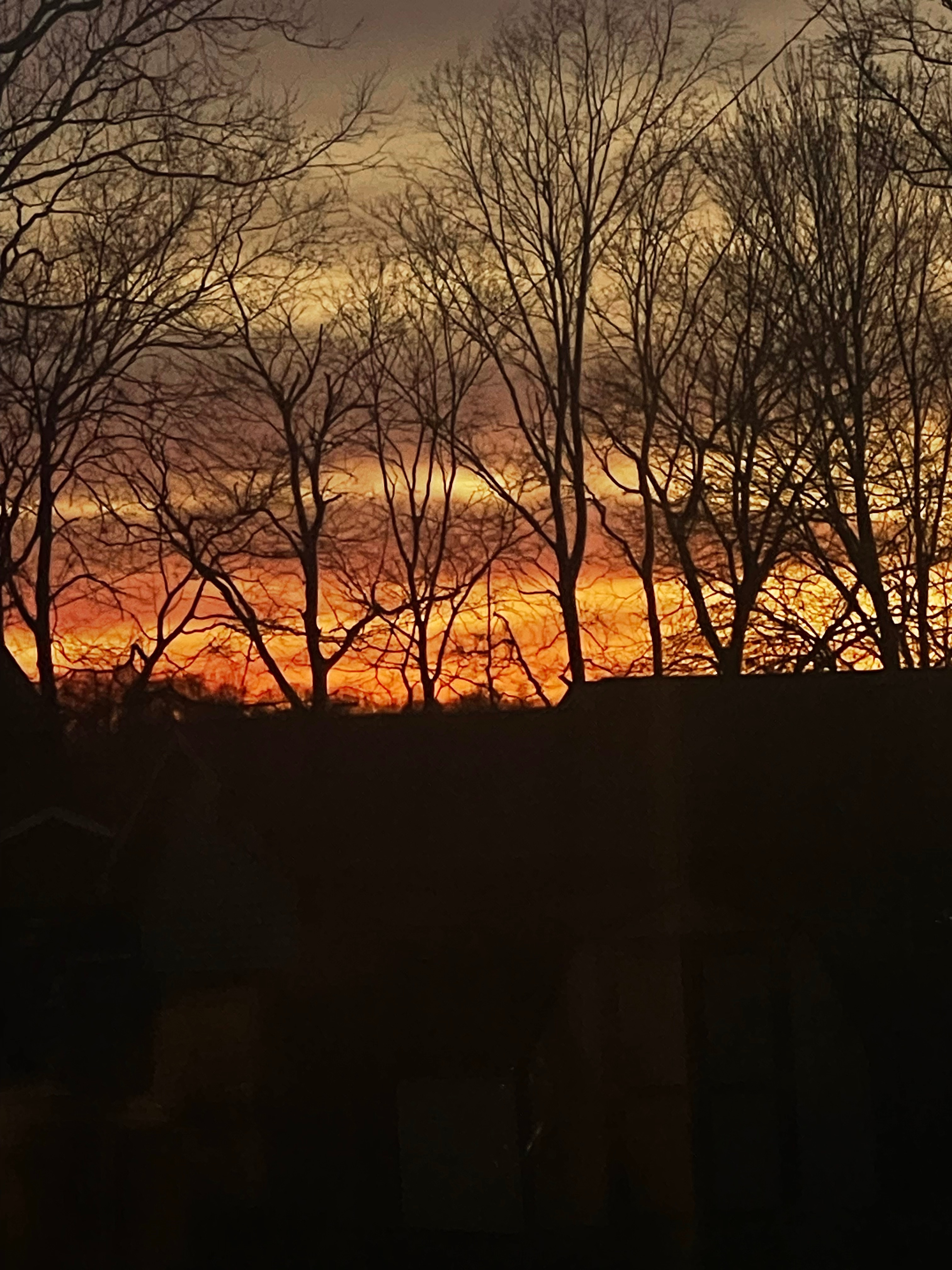 grey OnlyFans header