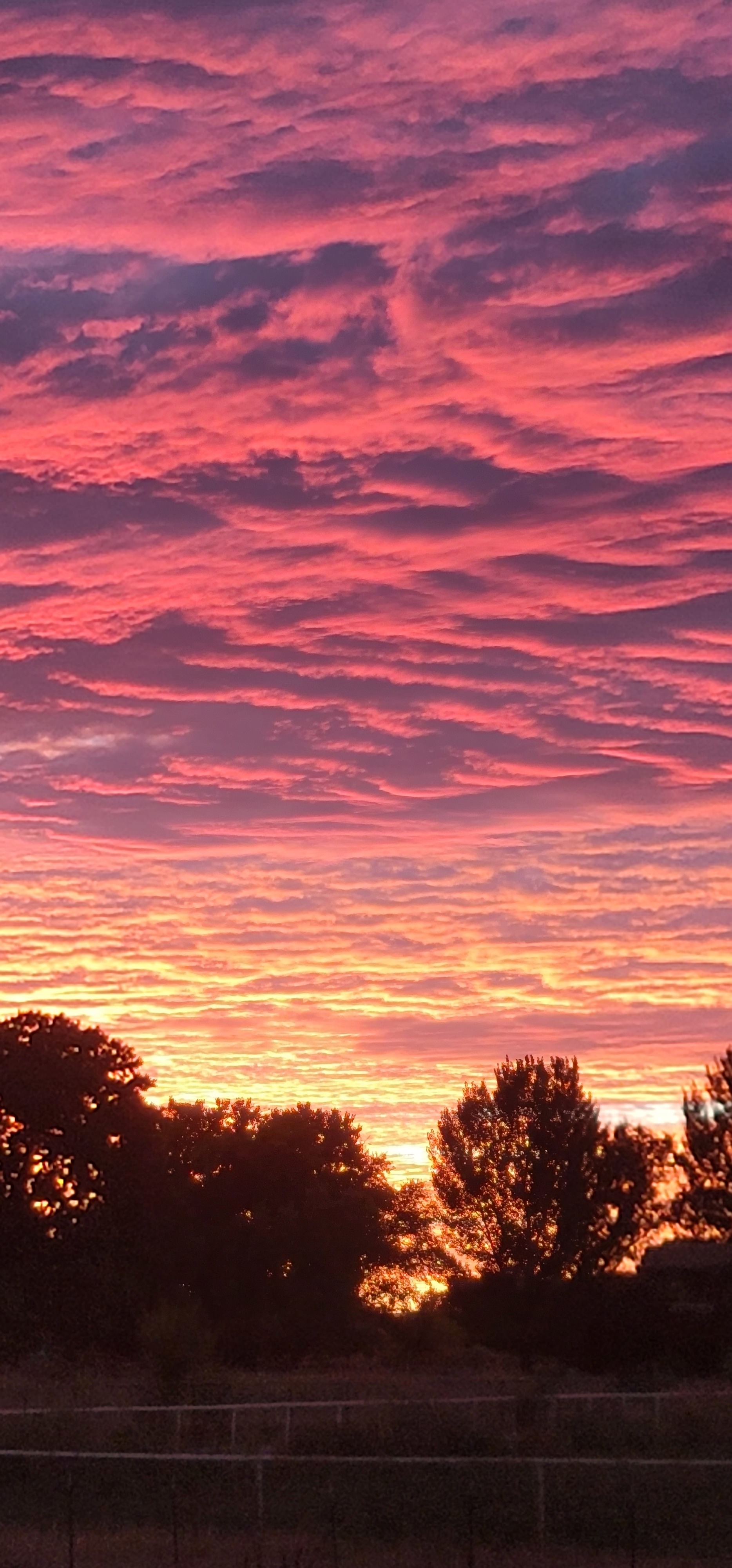 OnlyHandsClimberUSA OnlyFans header