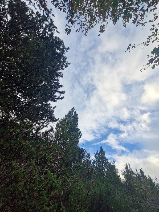 Harriet OnlyFans header