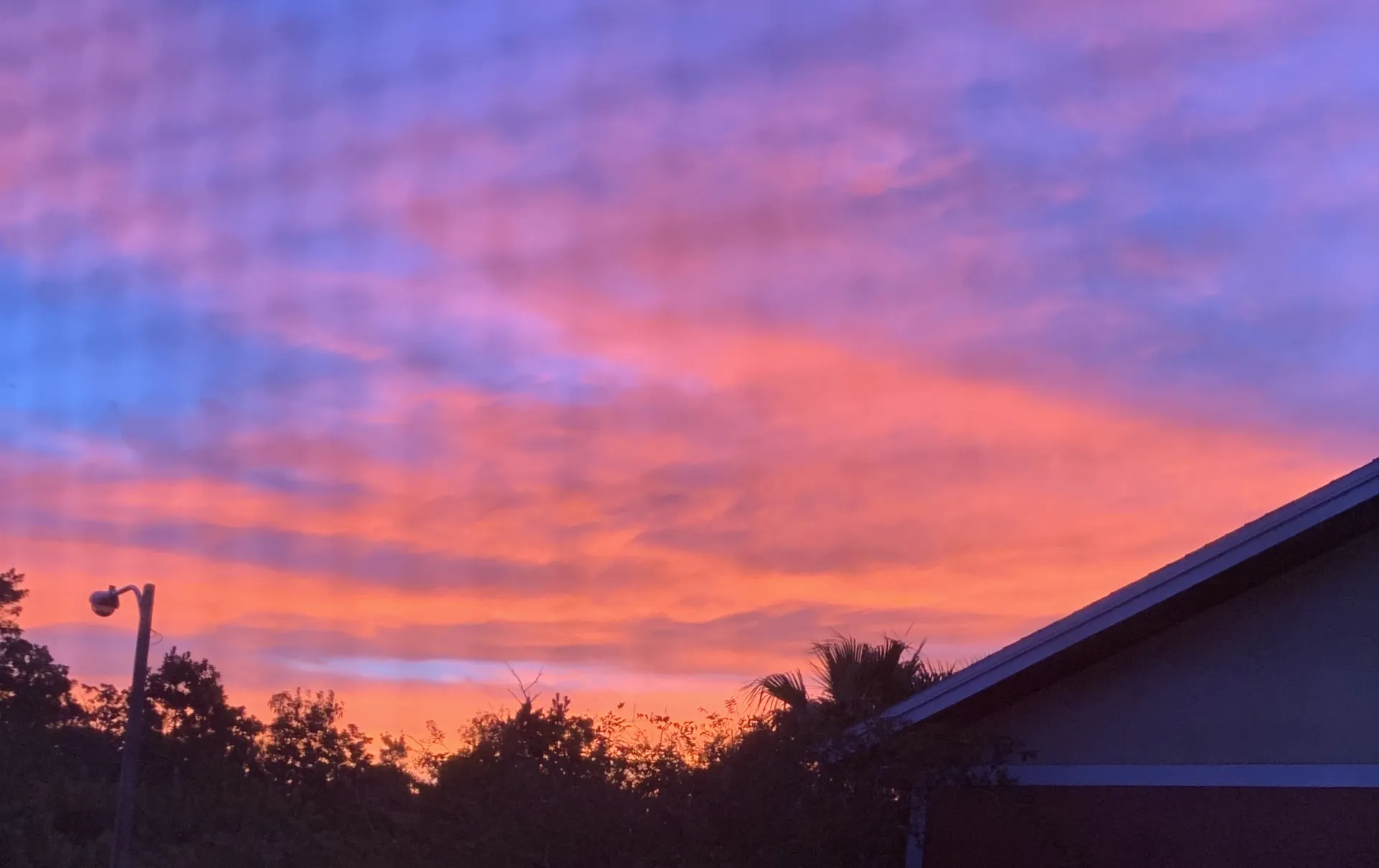 Iris Lynn OnlyFans header