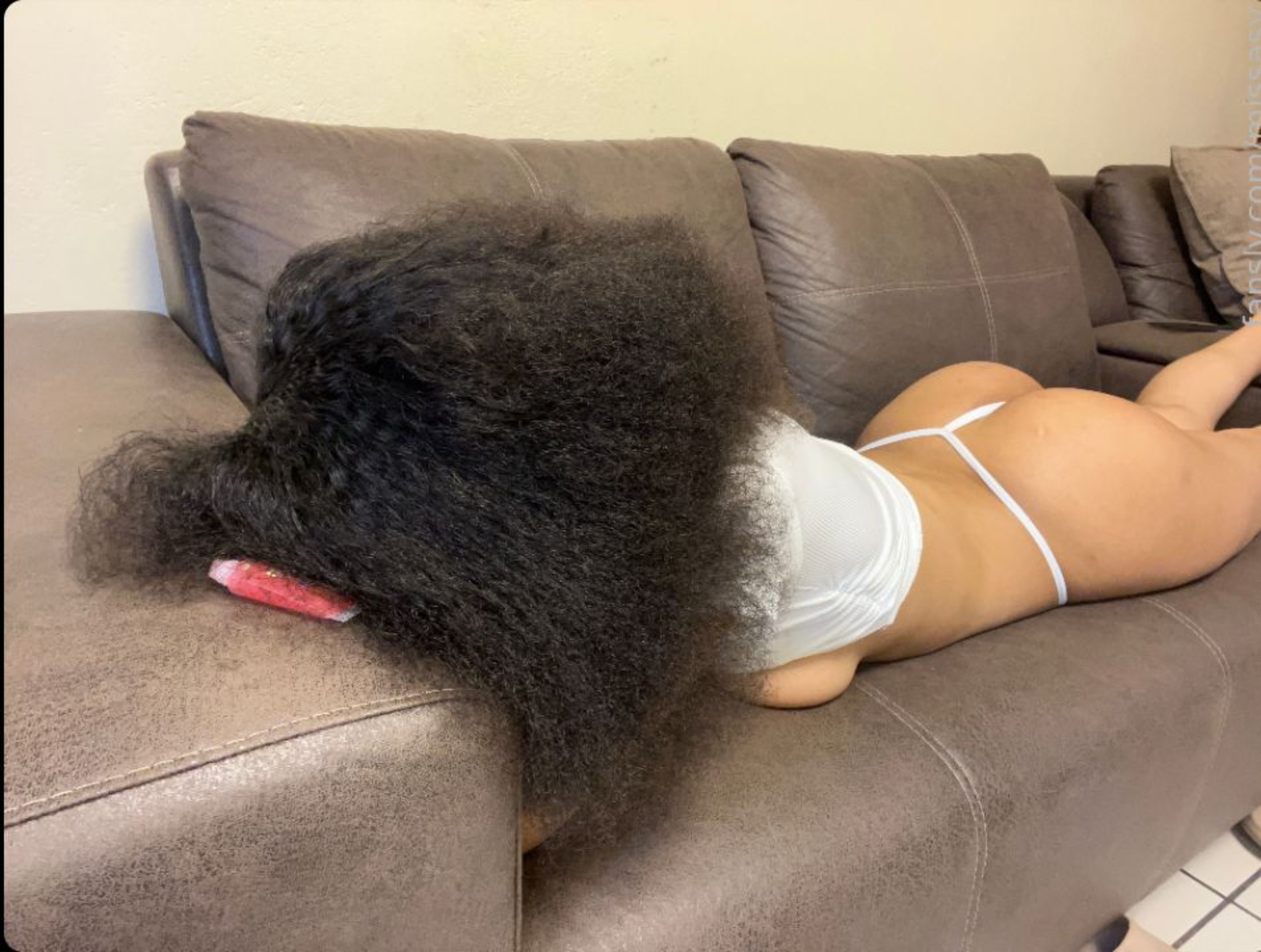 Jenine OnlyFans header