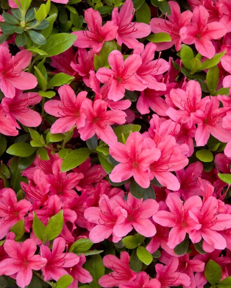 Big boobs girl 💦💦💦 OnlyFans header