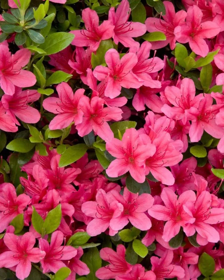 Big boobs girl 💦💦💦 OnlyFans header