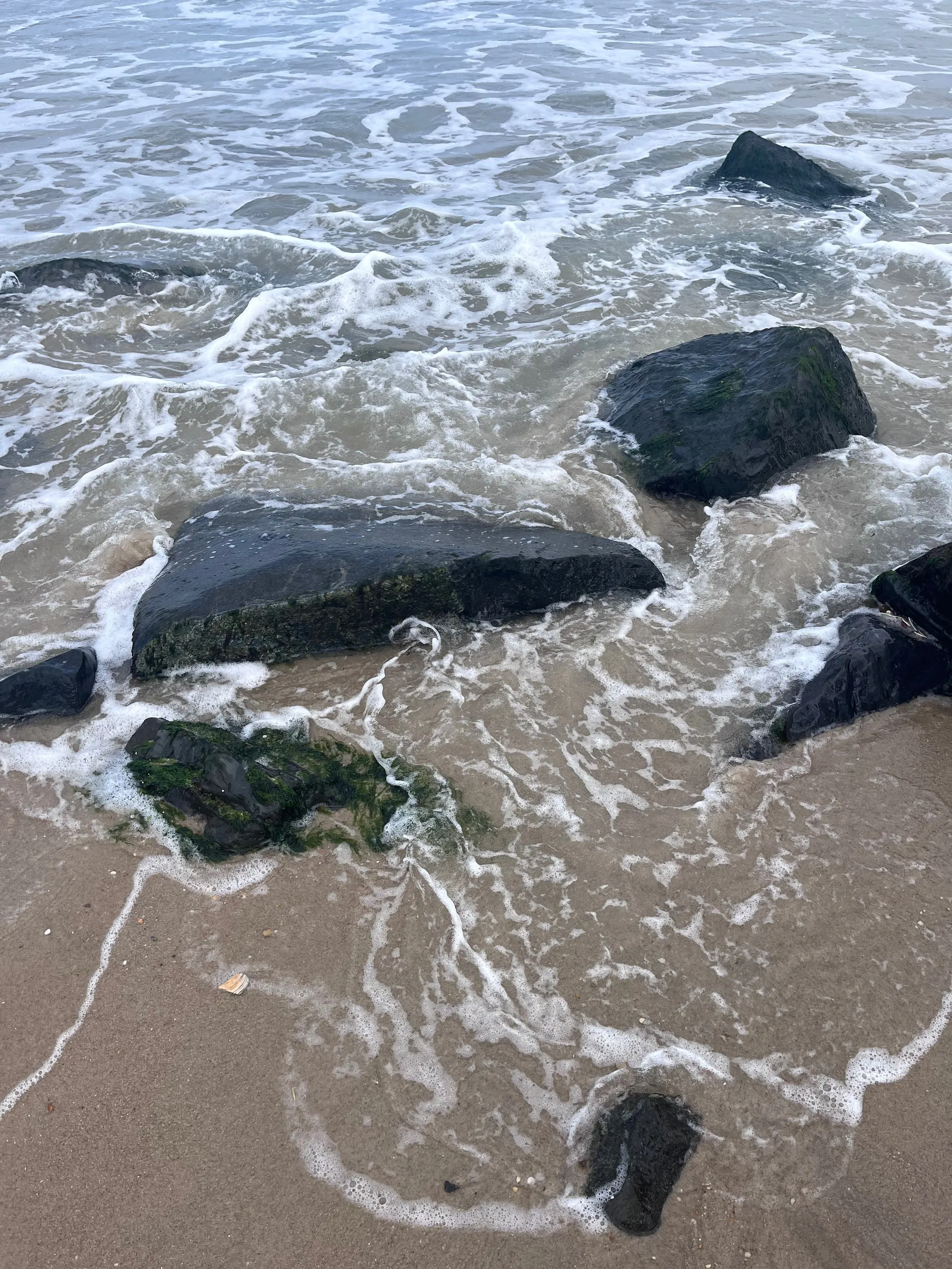 LoveScarZ OnlyFans header