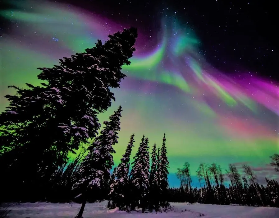 Lunatic OnlyFans header