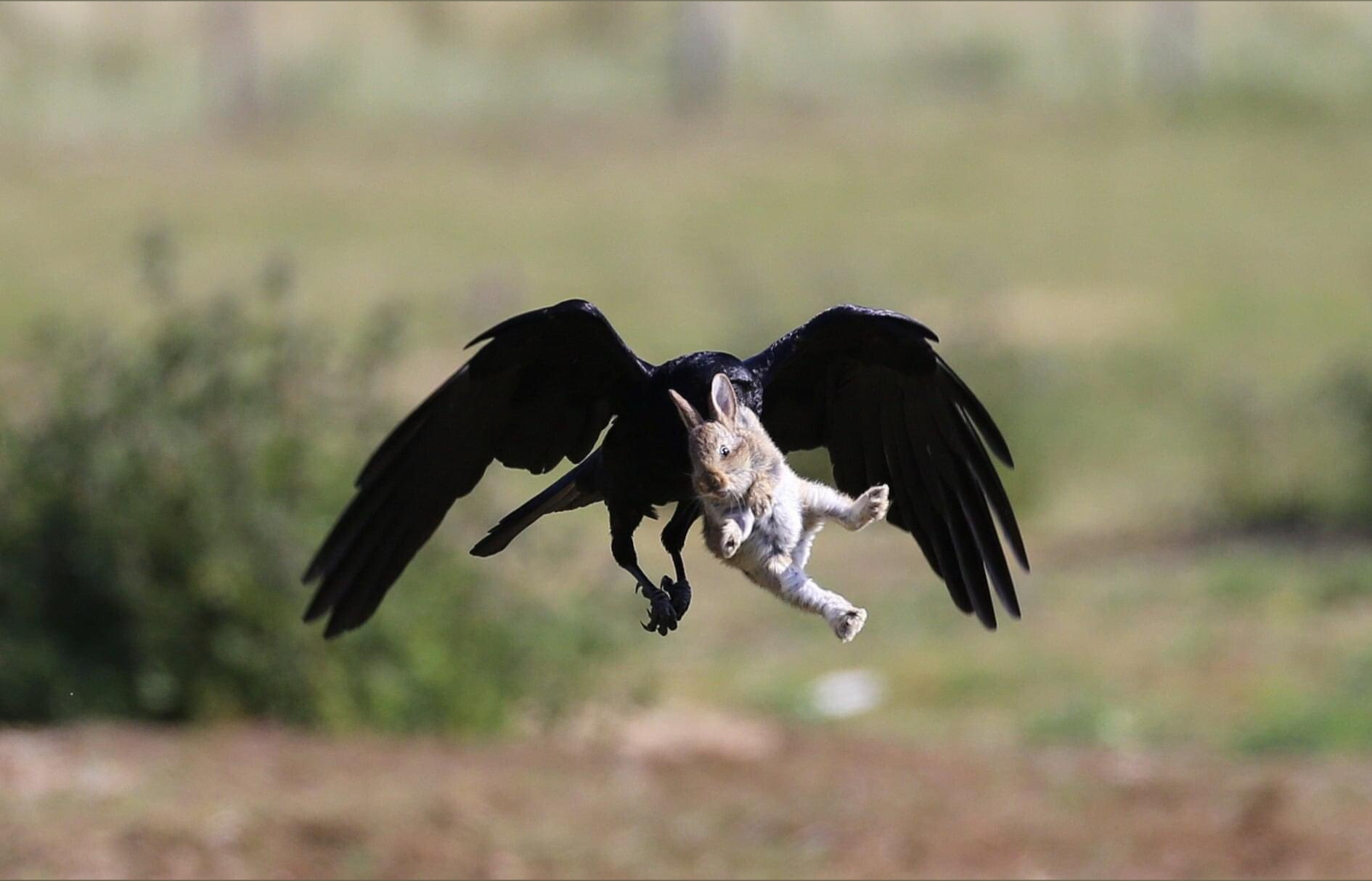 onlymurria OnlyFans header