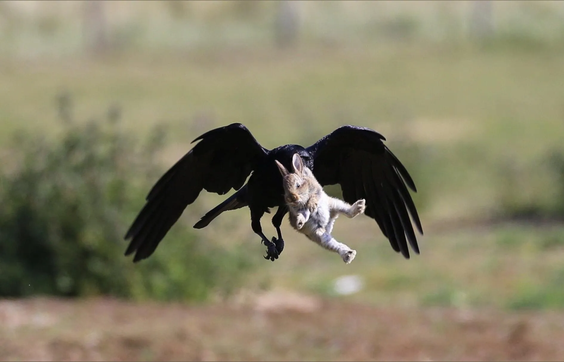 onlymurria OnlyFans header