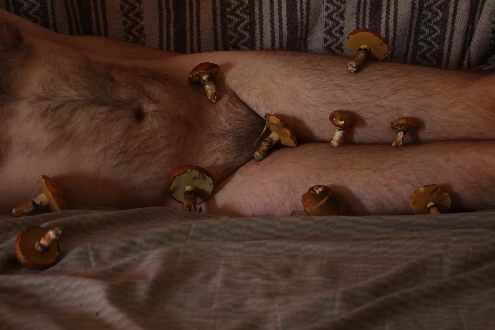 Onlymushrooms OnlyFans header