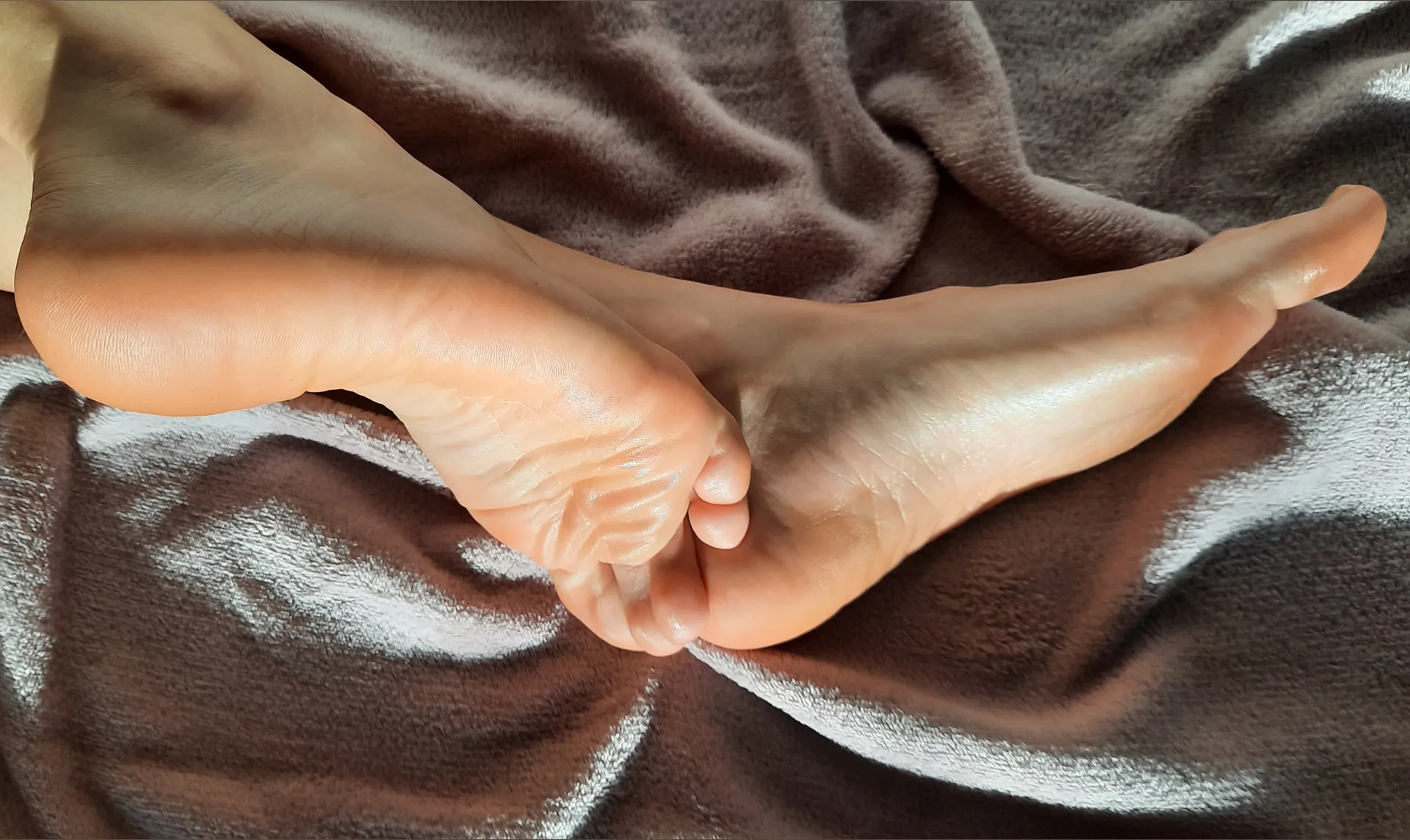 OnlyMyPaws OnlyFans header