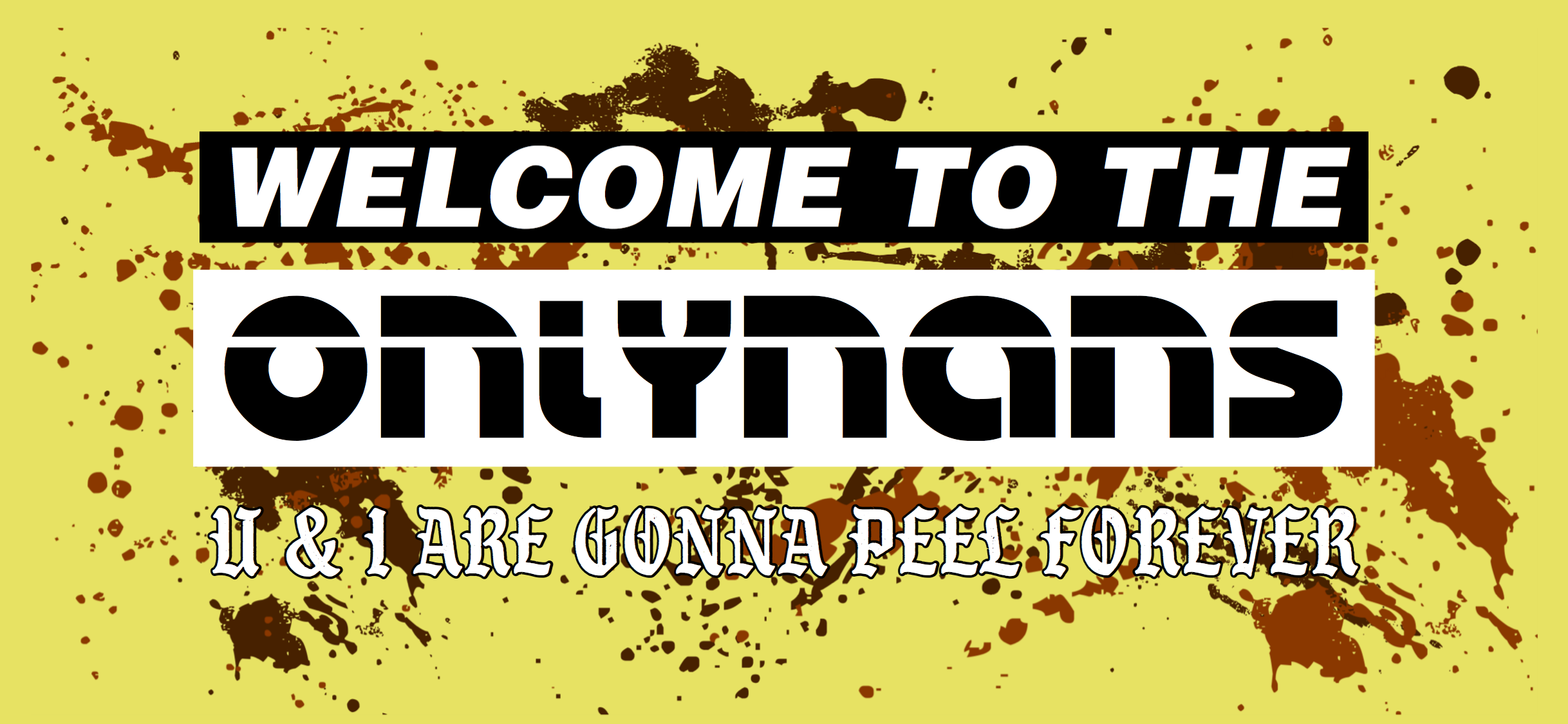 OnlyNans OnlyFans header