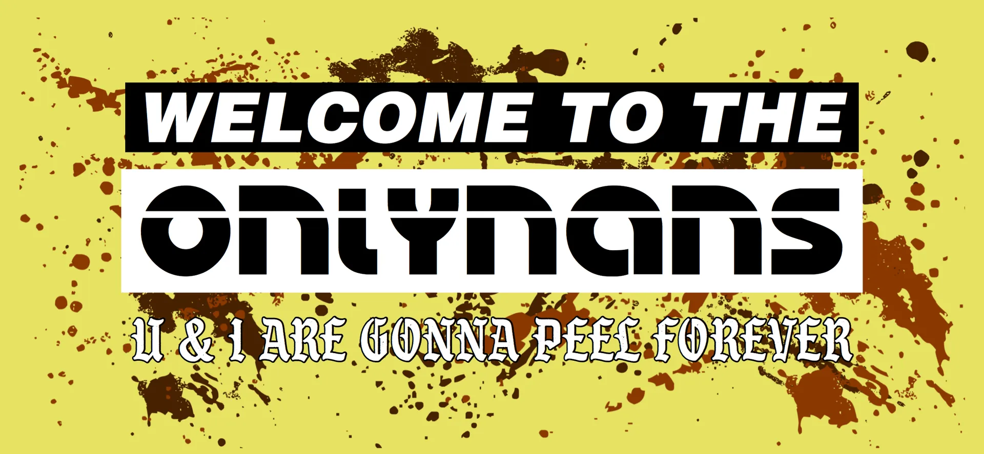 OnlyNans OnlyFans header