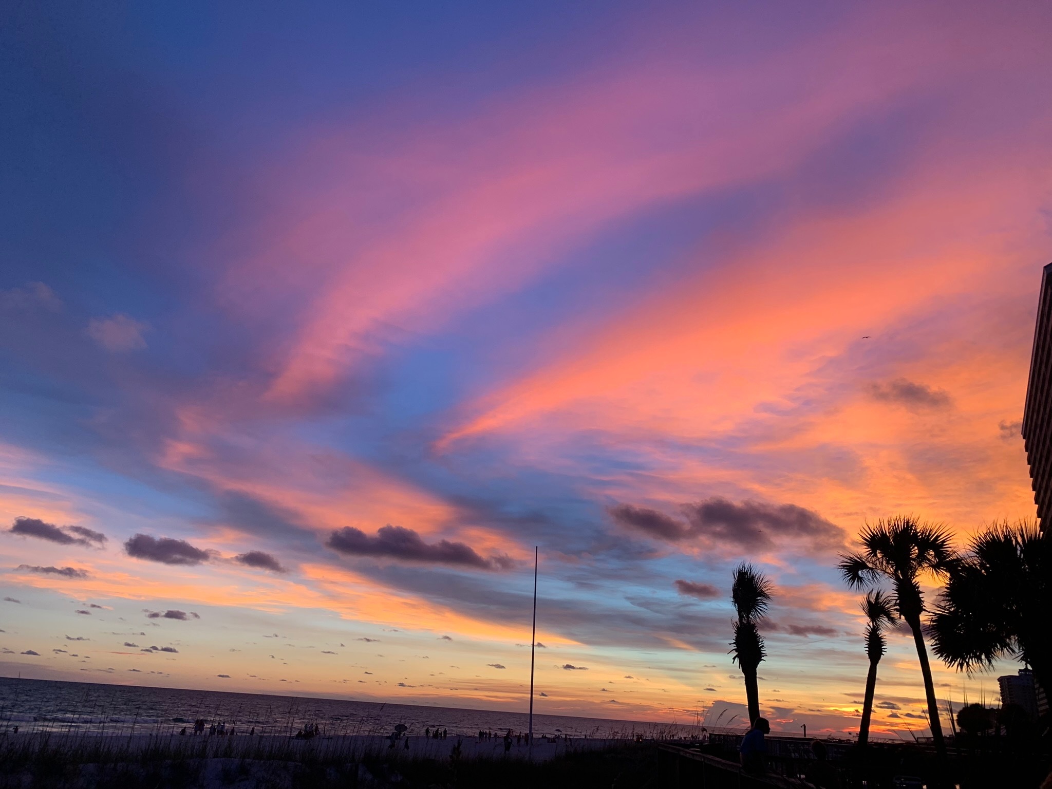 Nikki 🌻 OnlyFans header