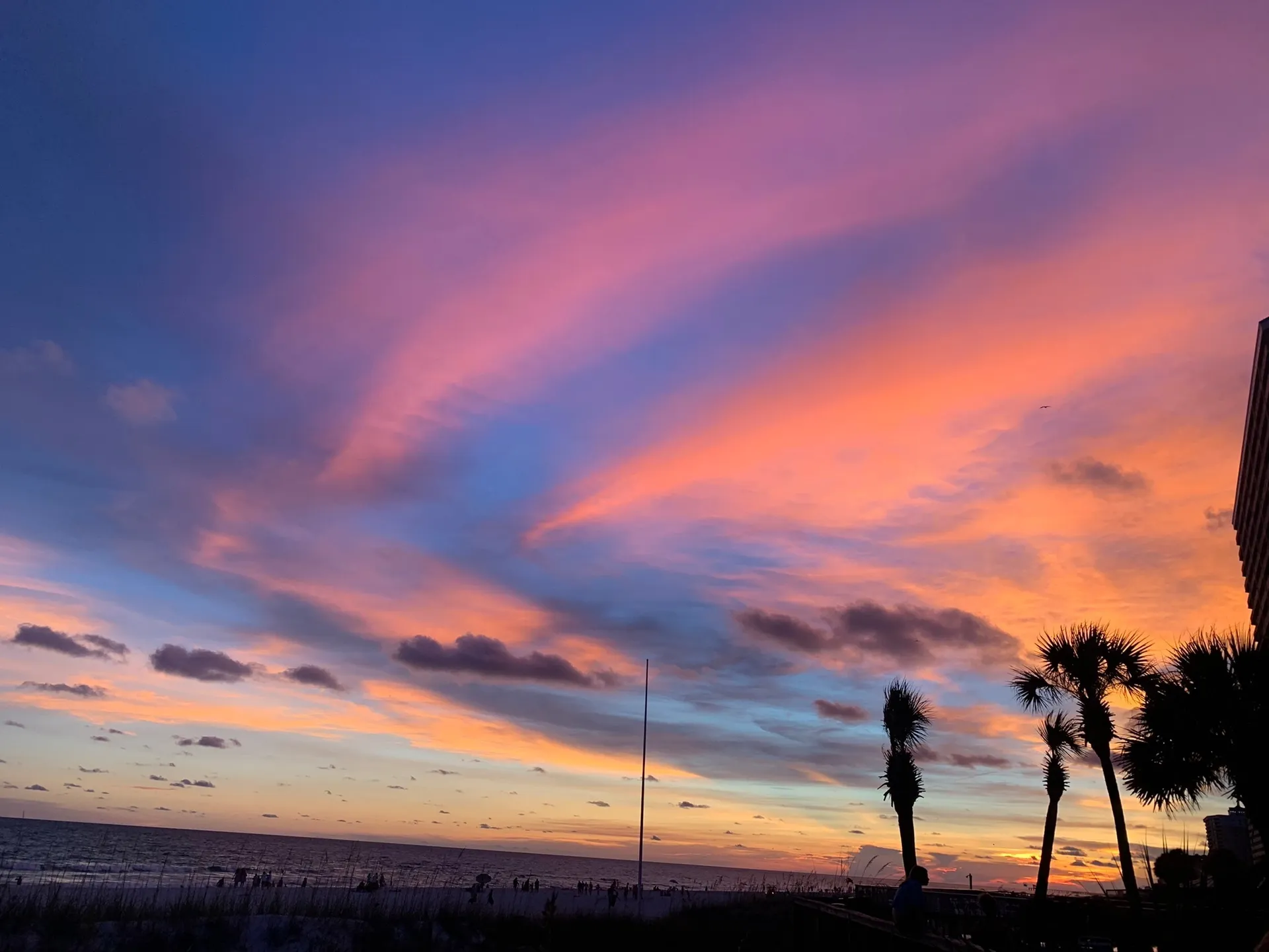 Nikki 🌻 OnlyFans header