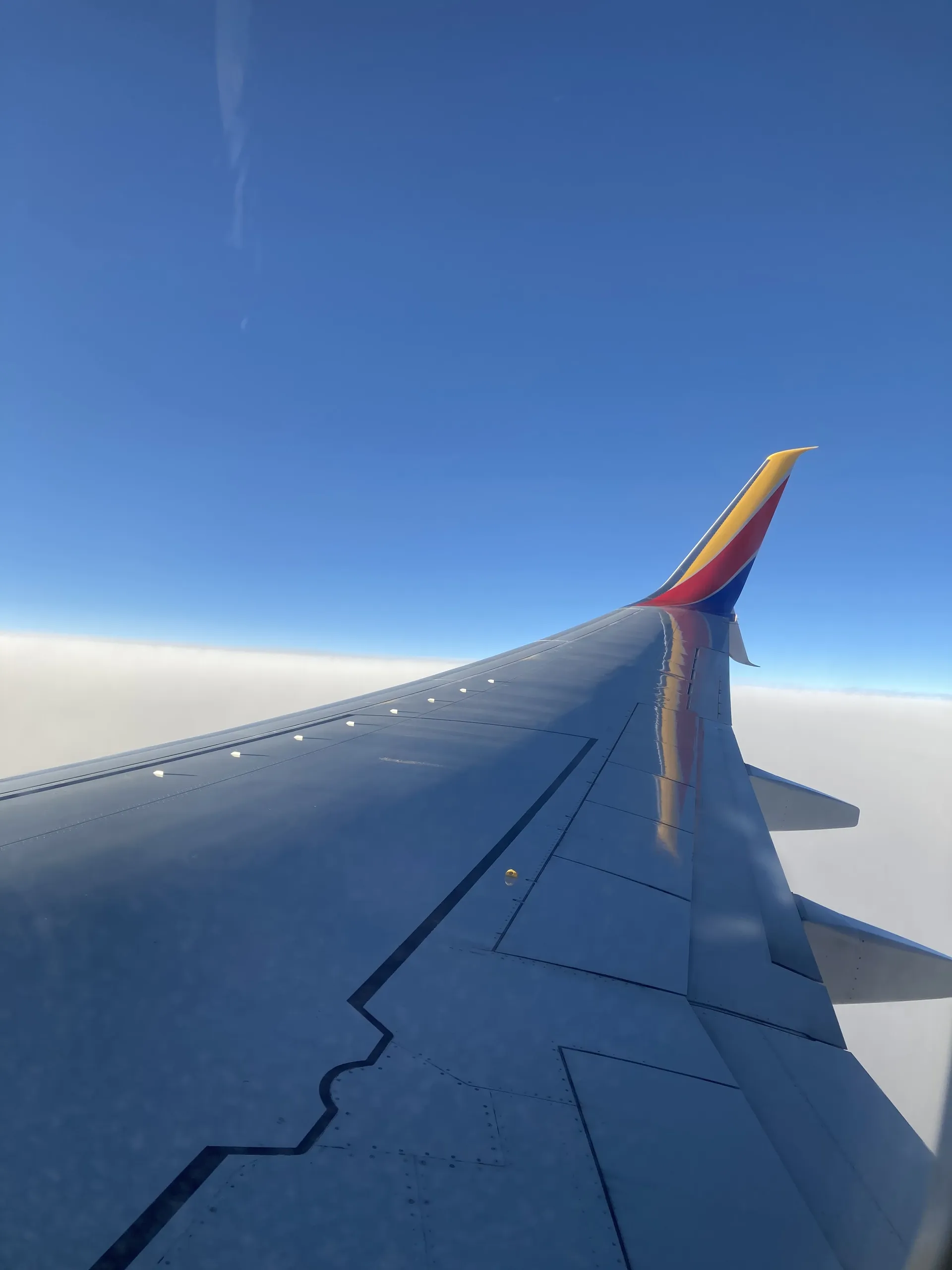 Nose Goes OnlyFans header