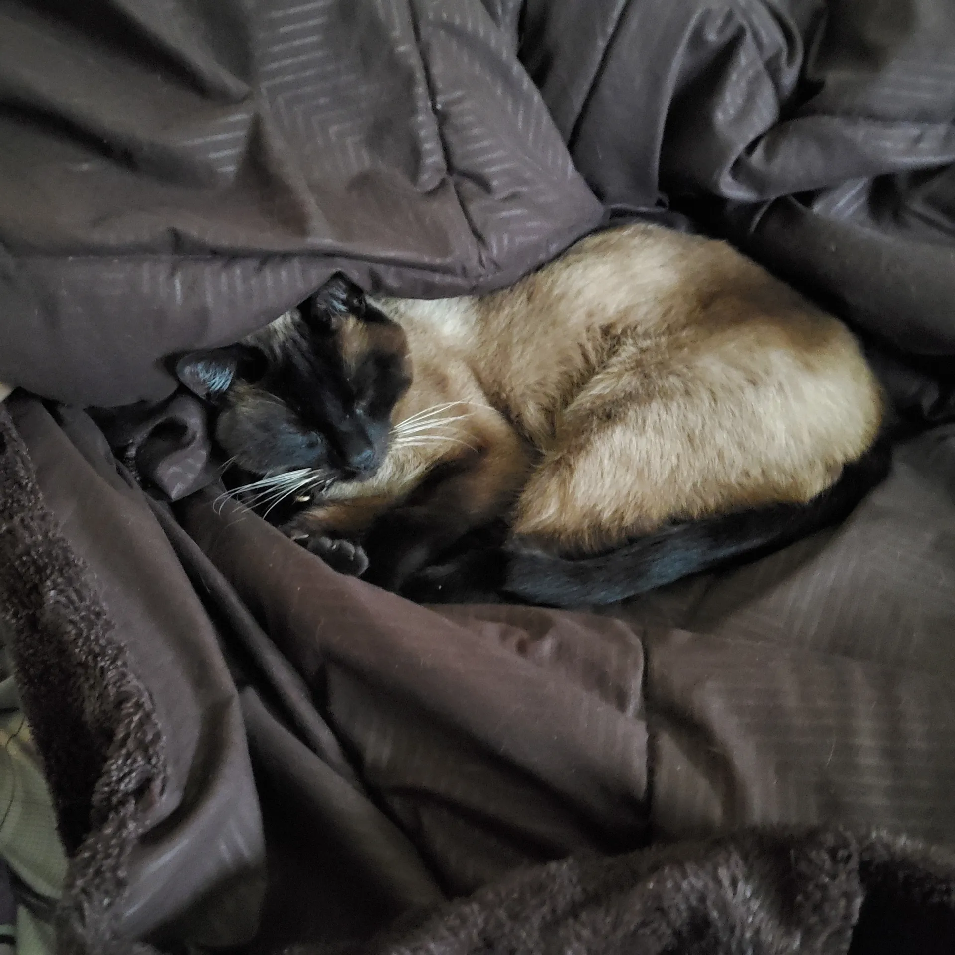 Lilb OnlyFans header