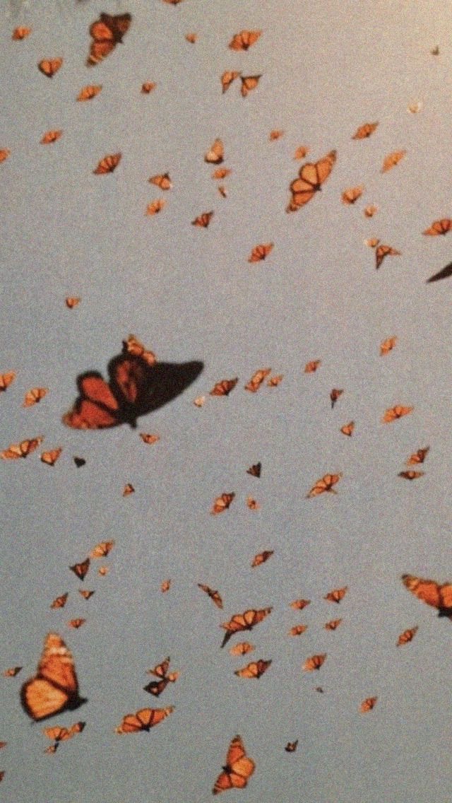 M I K E OnlyFans header