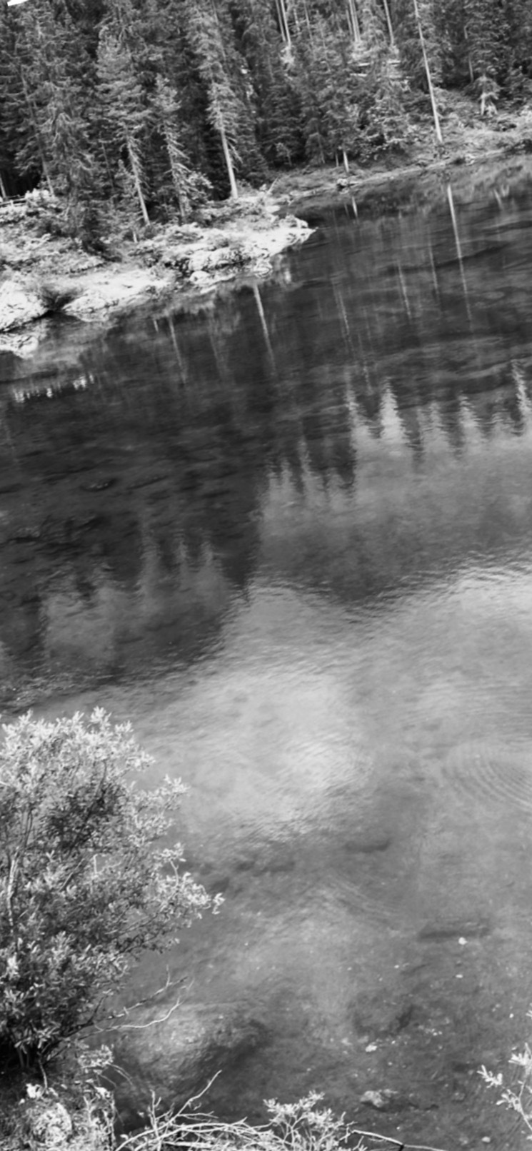 TopHairy21 OnlyFans header