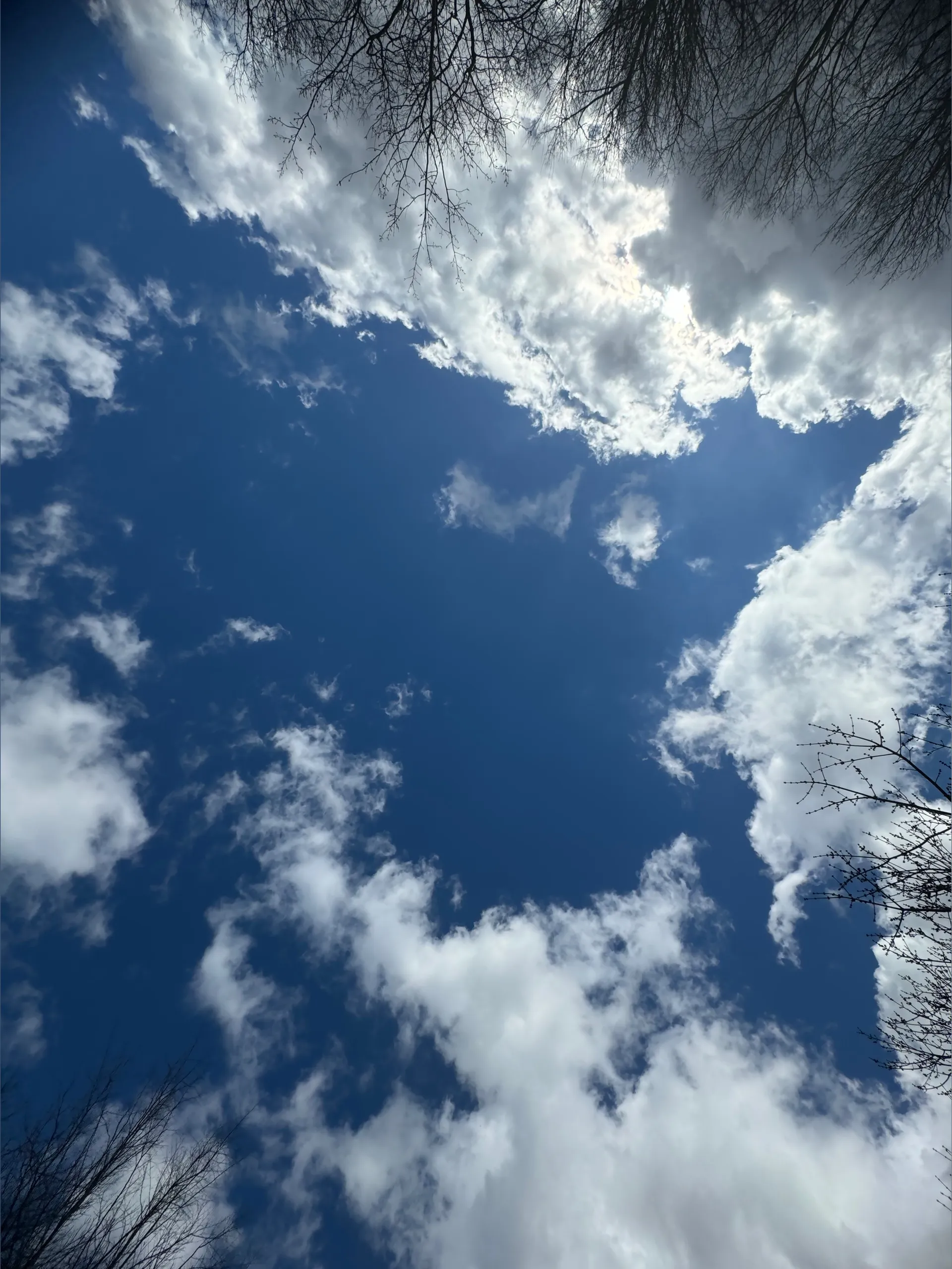 Hoe2WHOLESOME OnlyFans header