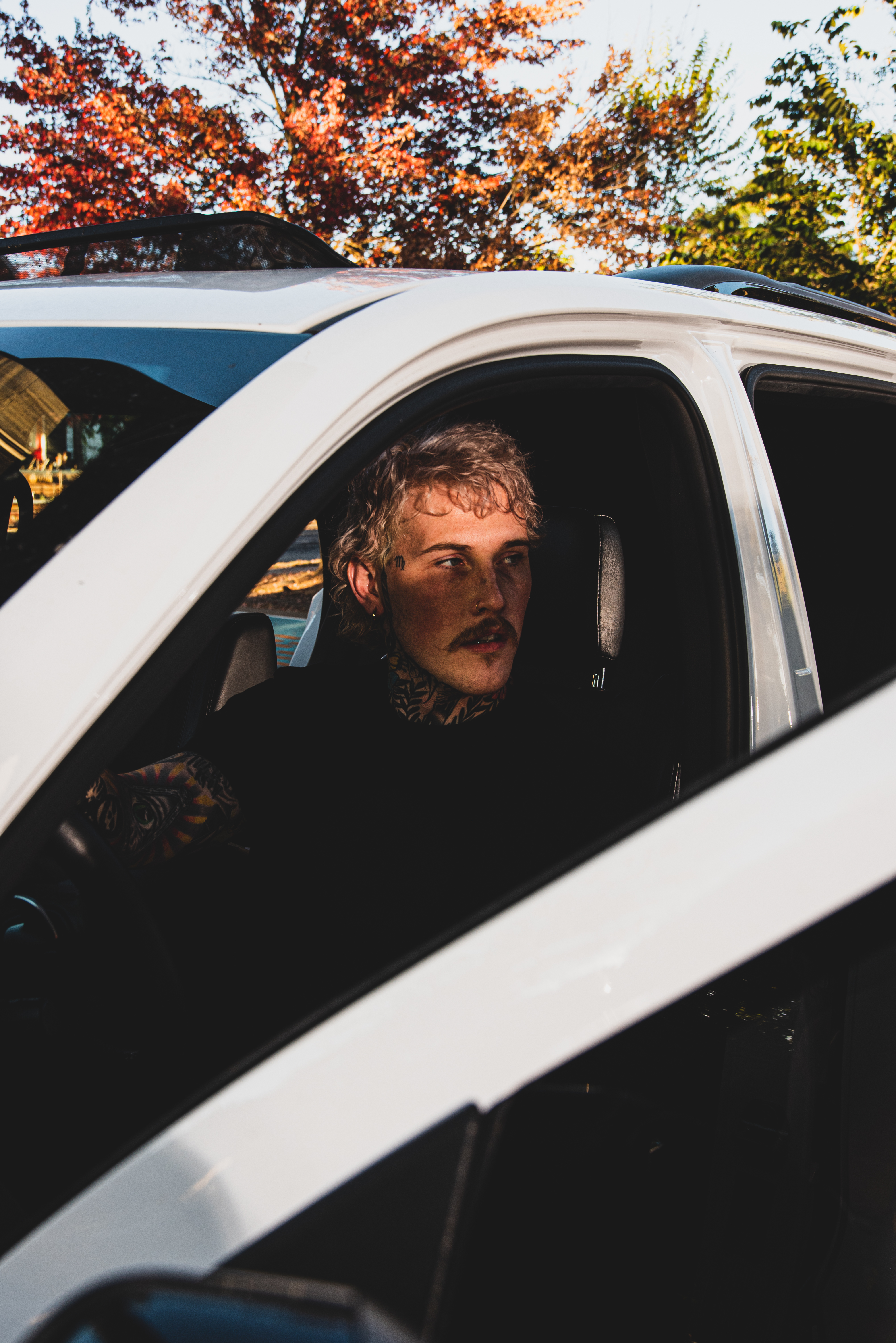 Colt OnlyFans header