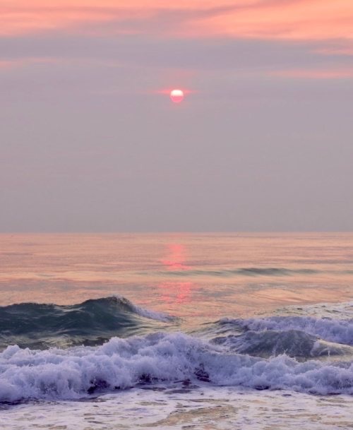 PSΛICO OnlyFans header